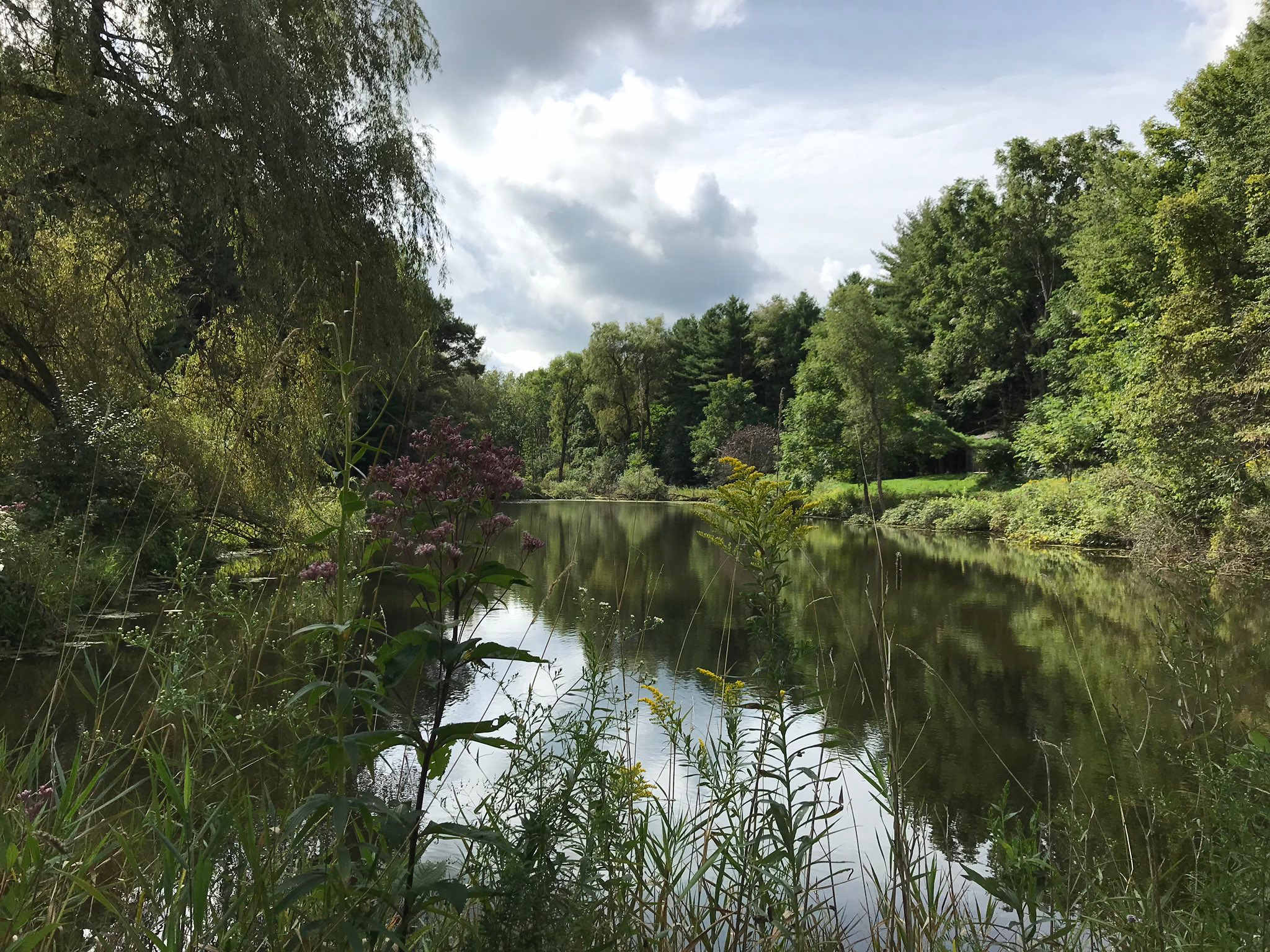 you will be camping beside this pond