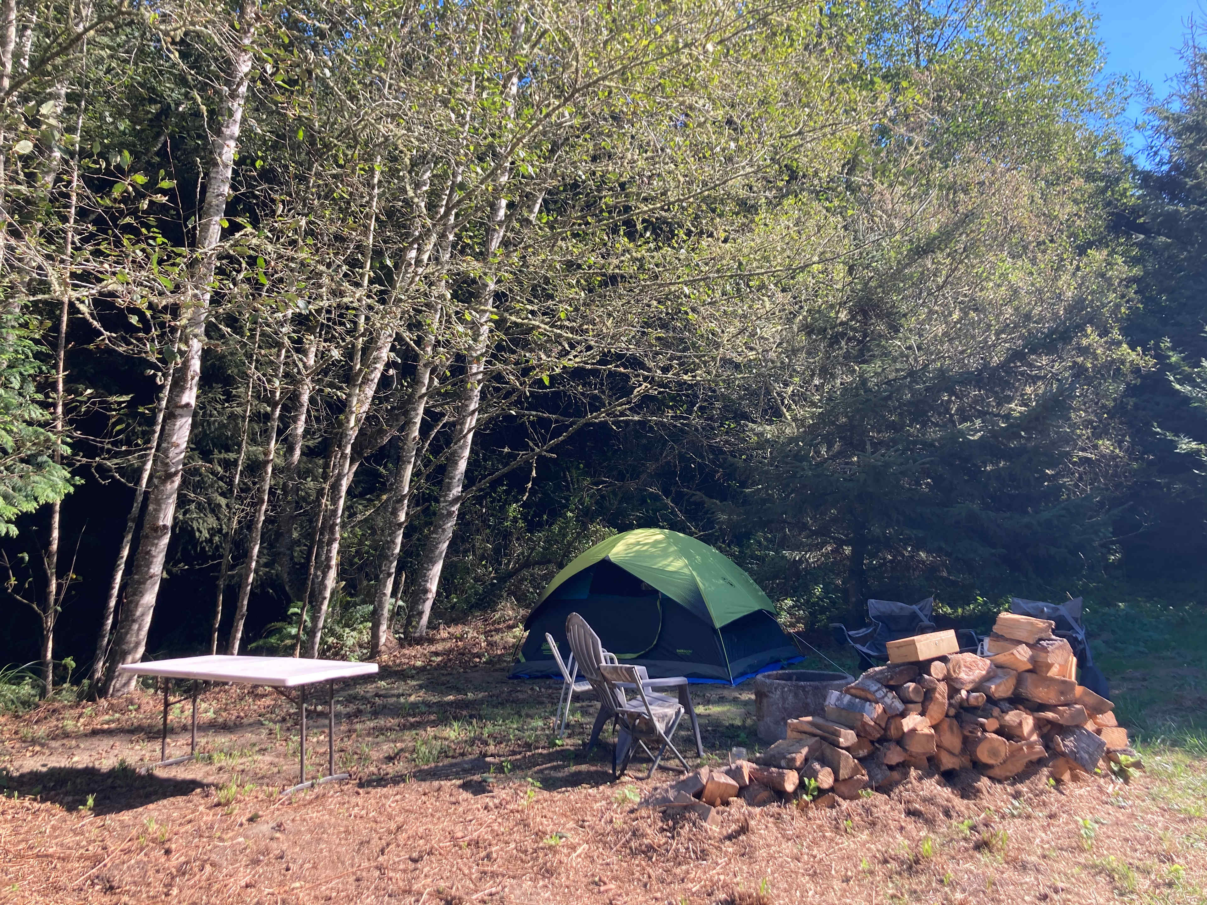 Picture of the site