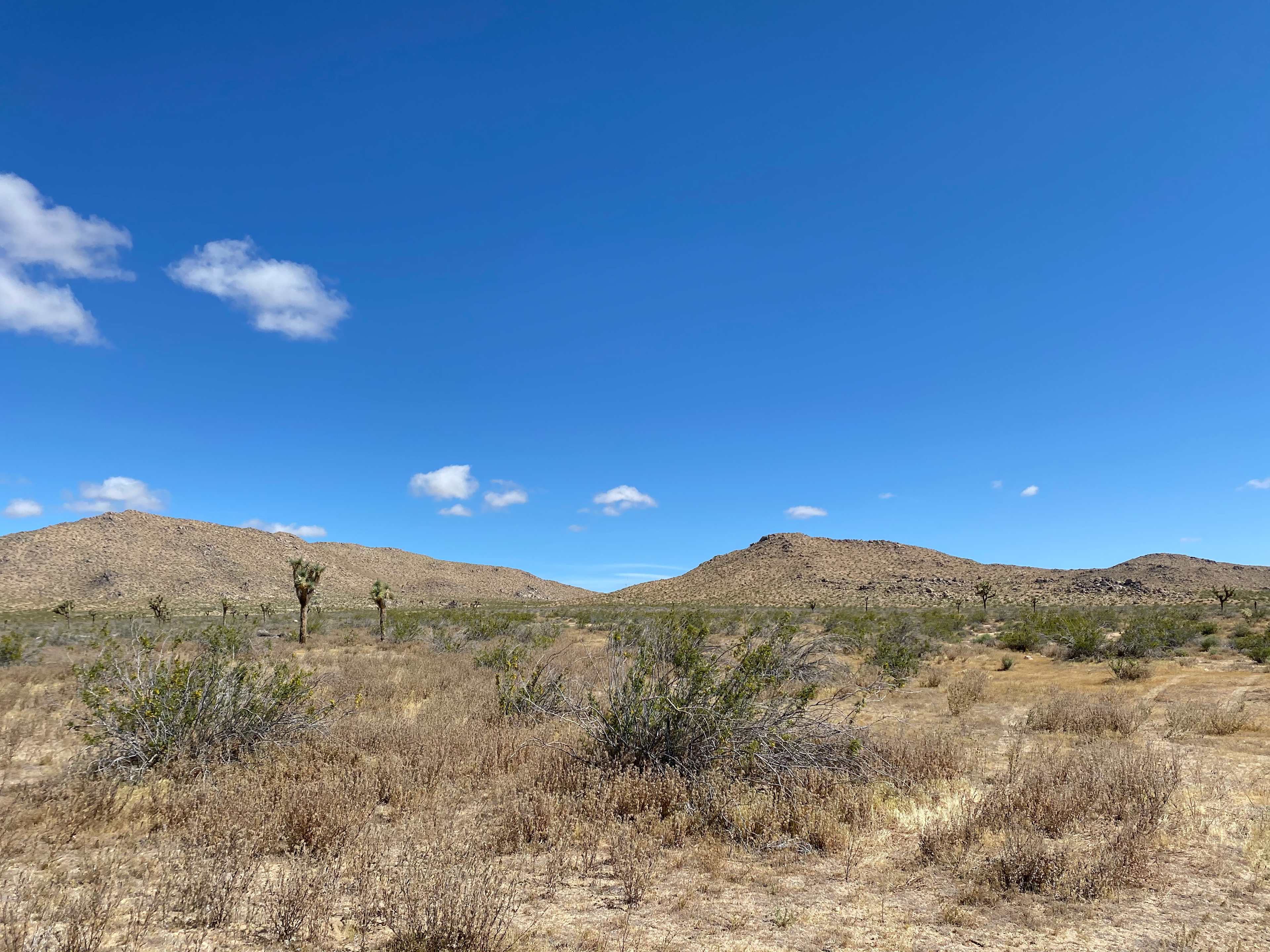 Large Desert with a Gorgeous View!