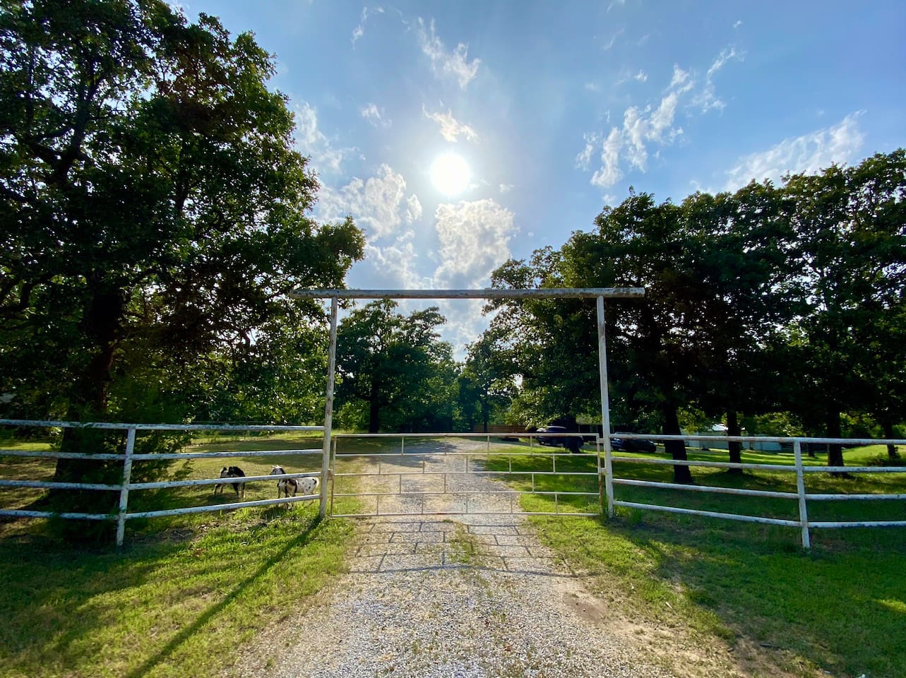 Picture of the site
