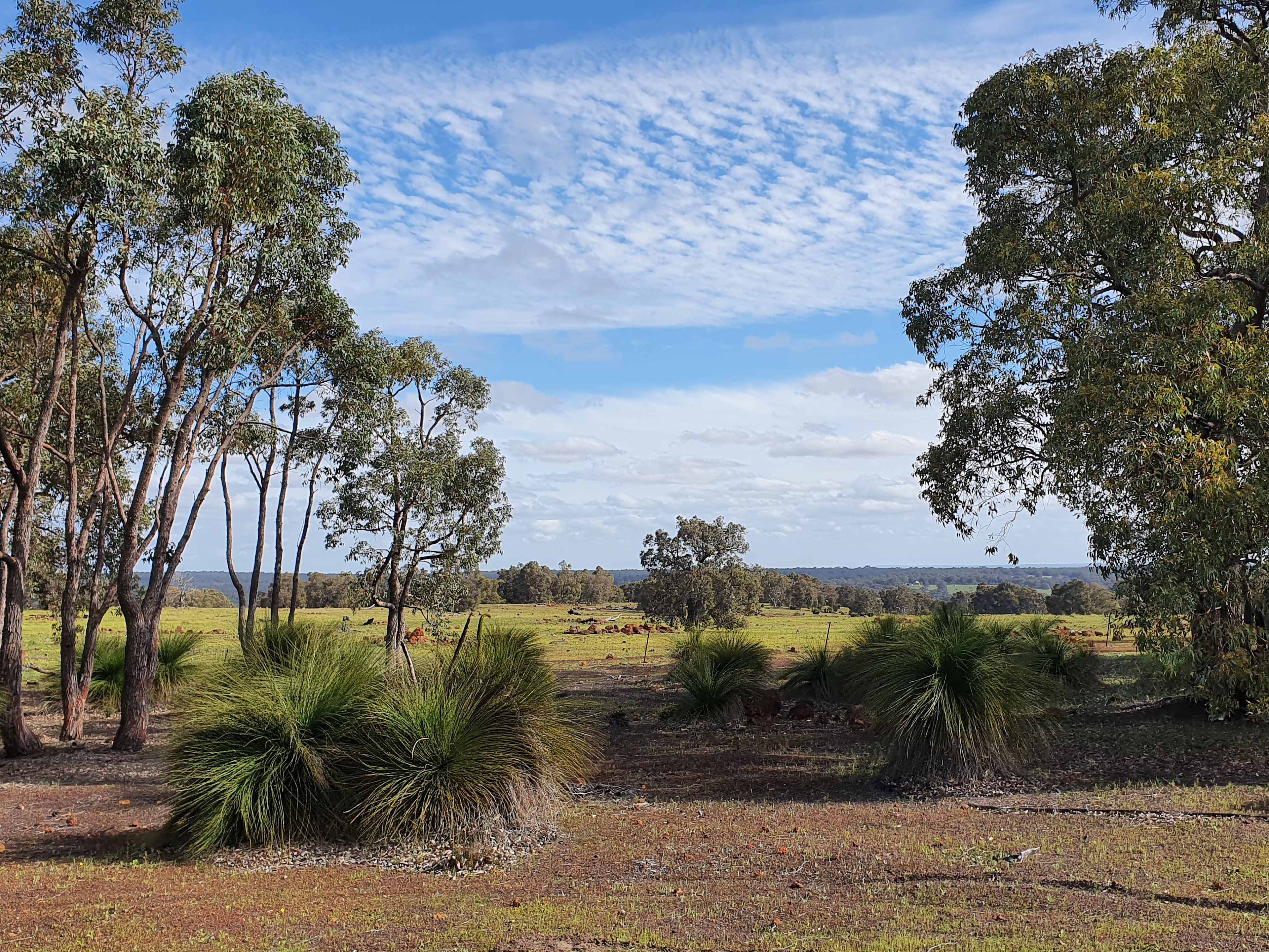 Chittering Acres