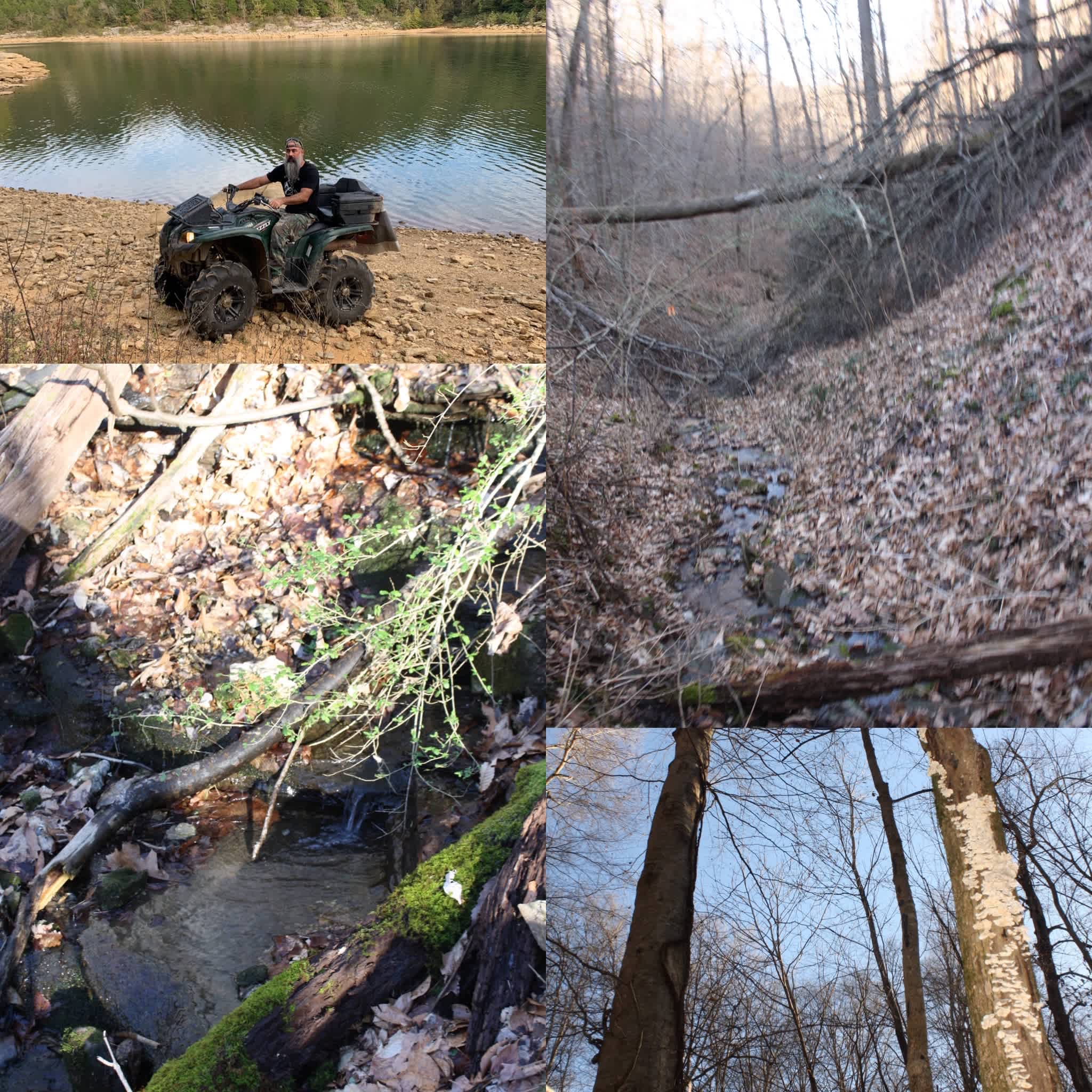 Primitive sites for hikers near the Spring water stream