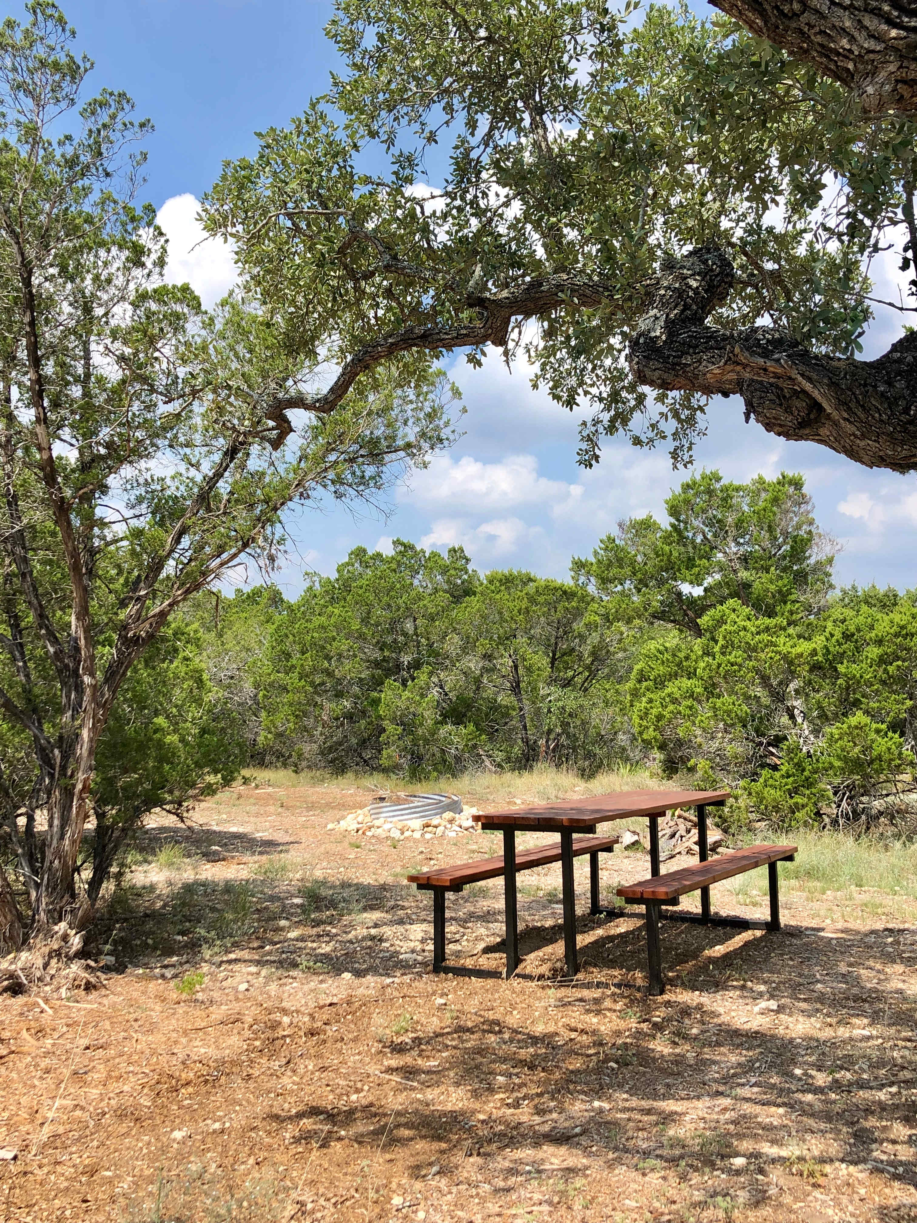Shared picnic and fire pit area for Sites 2, 3, and 4. There's a trail down into our canyon just beyond the fire pit!