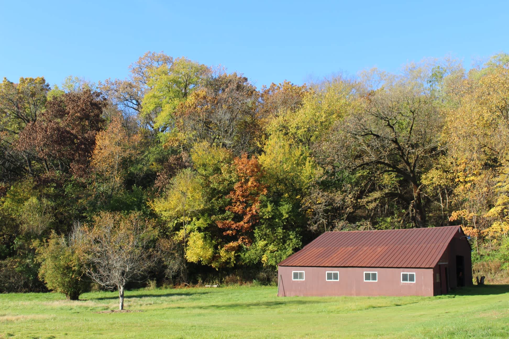 Rancho Comienzo