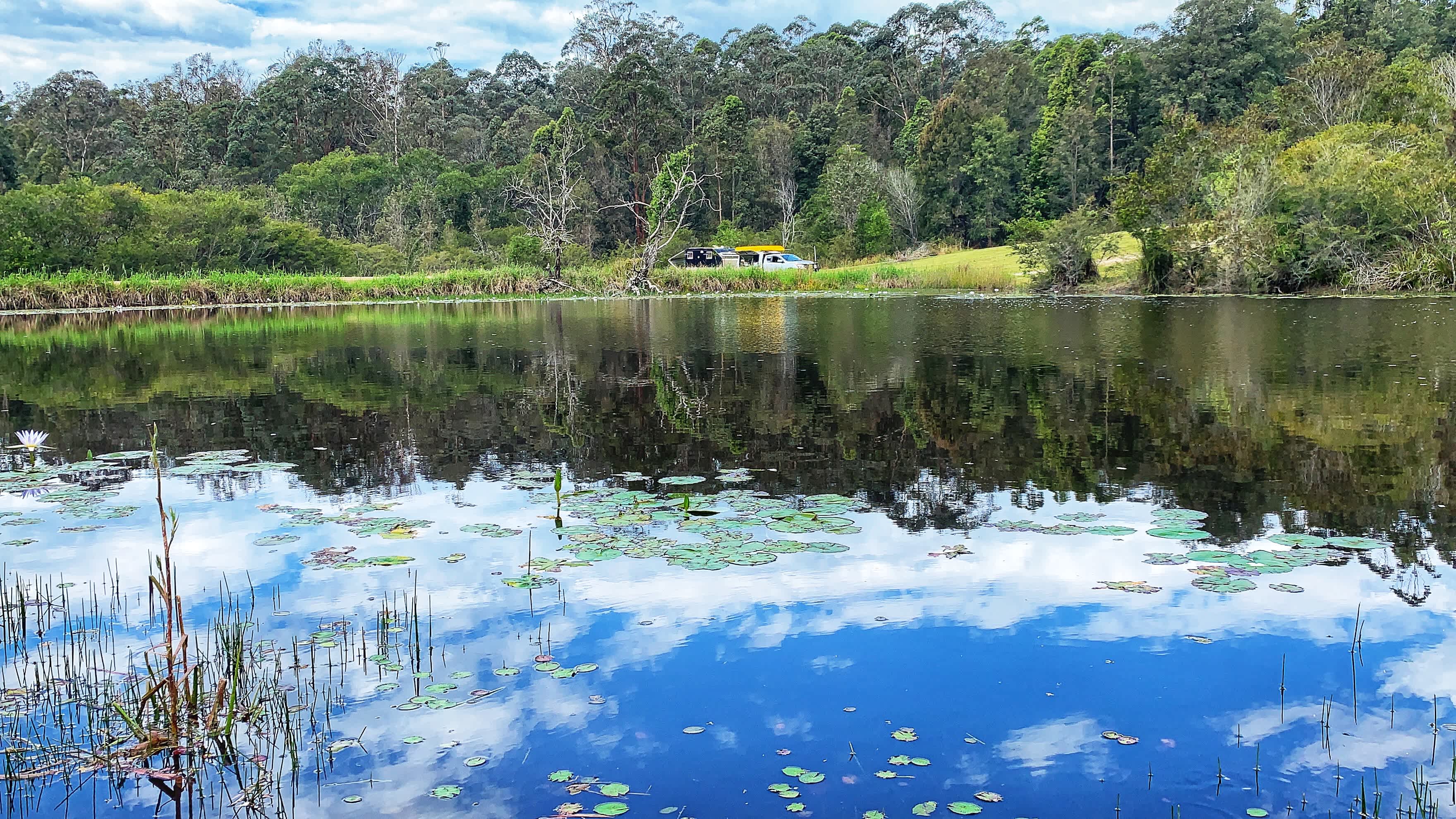 Pretty dam. 