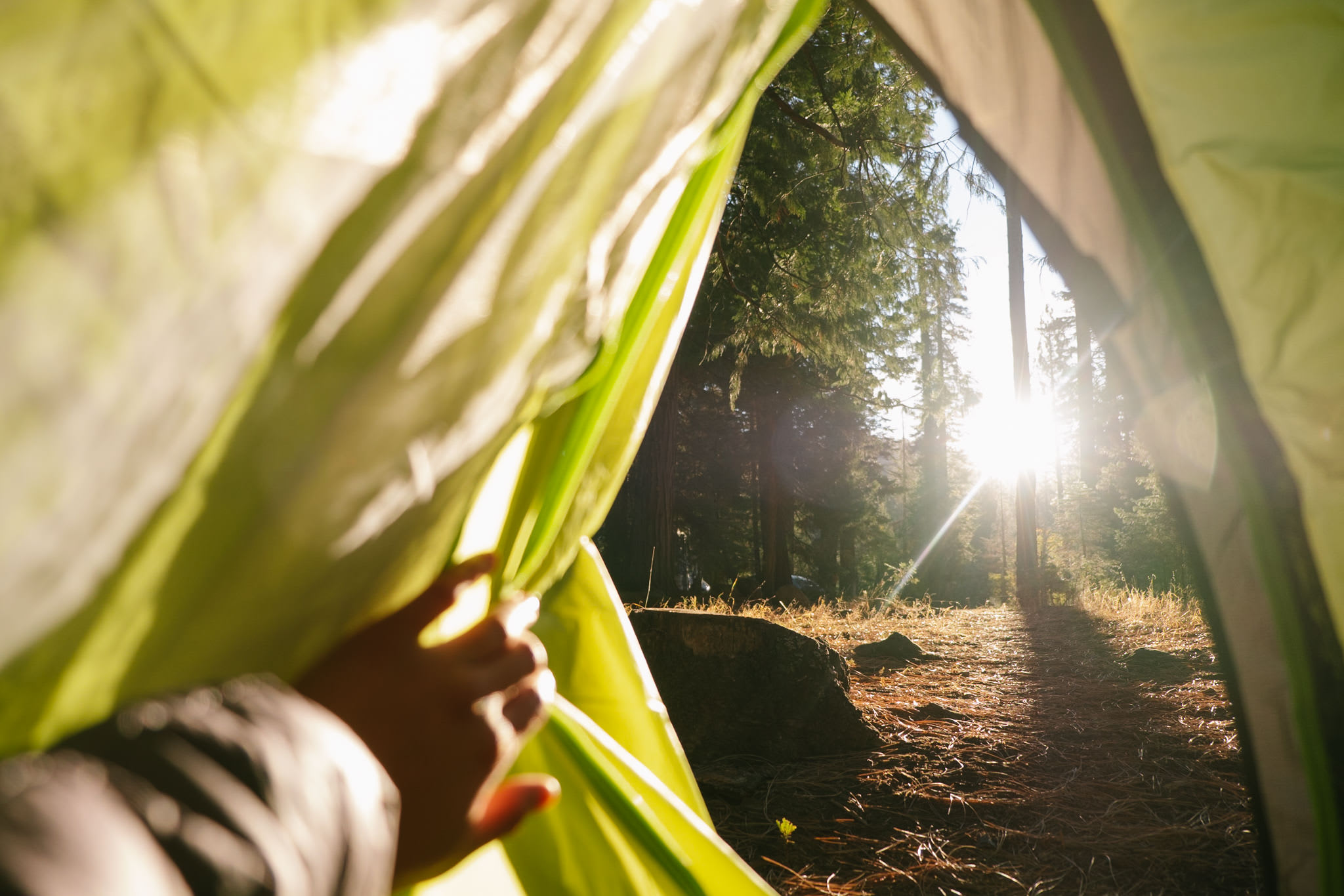 Morning light at site #17