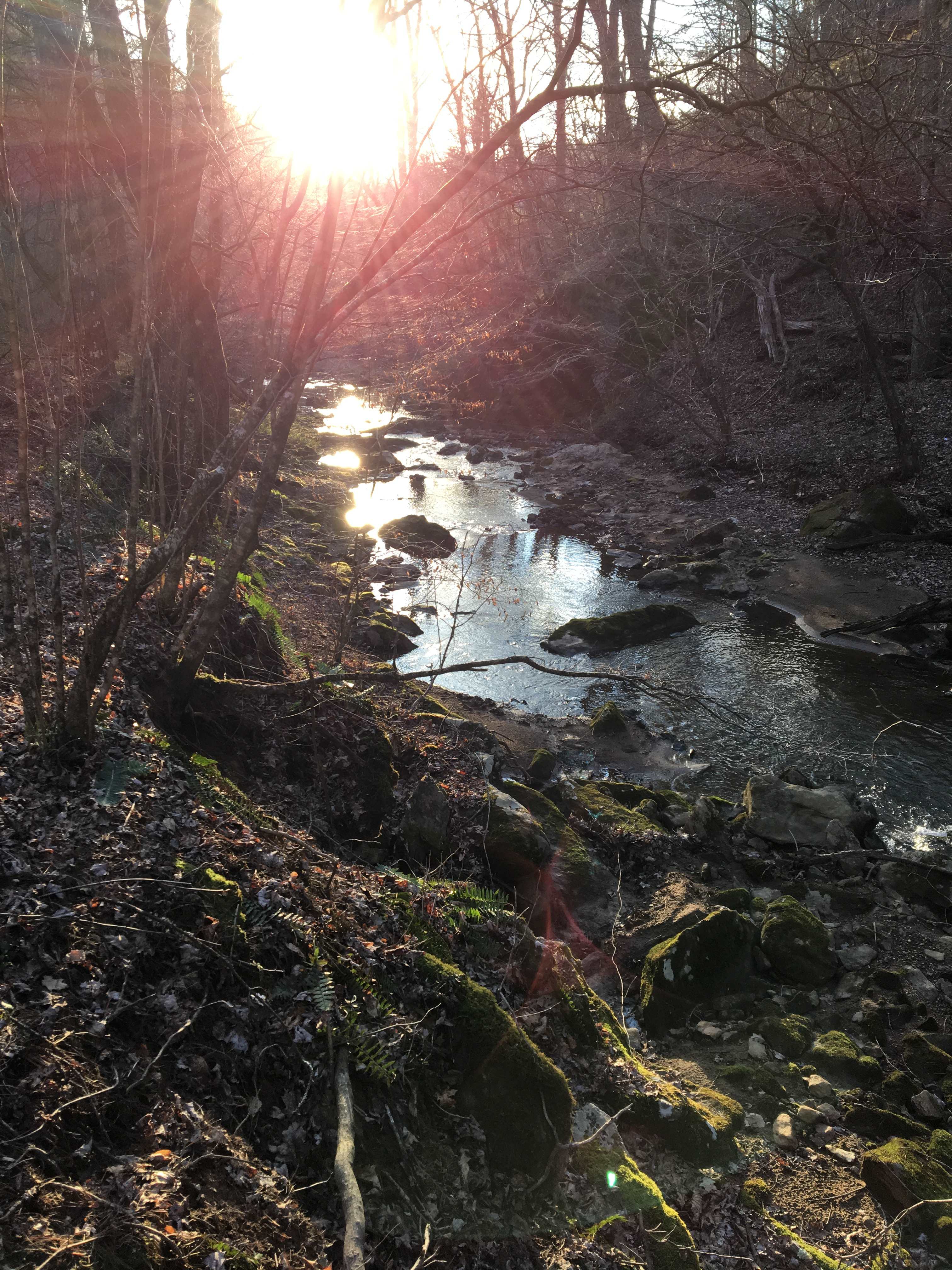 Enjoy Pine Creek ! Since the Creek runs THROUGH the property, you can enjoy the creek experience without having to share  !  Have a picnic, grab a tube or sit in the shallow water during hot days- your choice !! 
