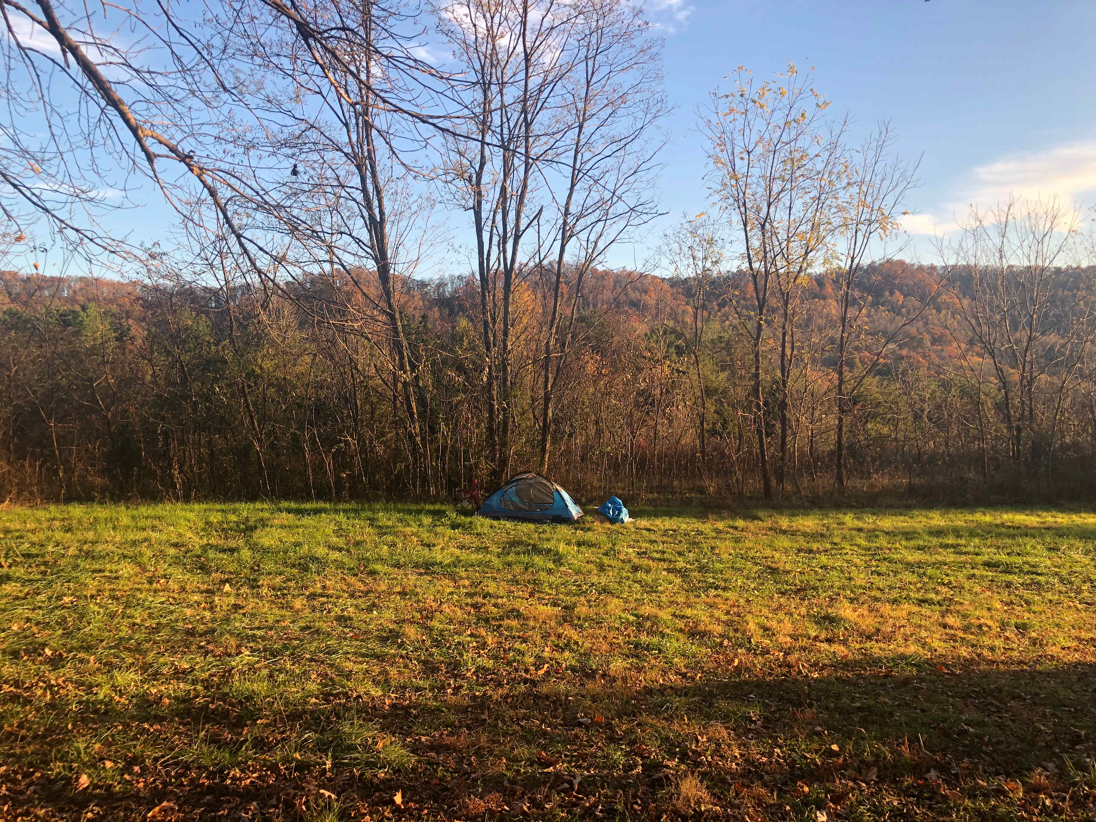 Picture of the site