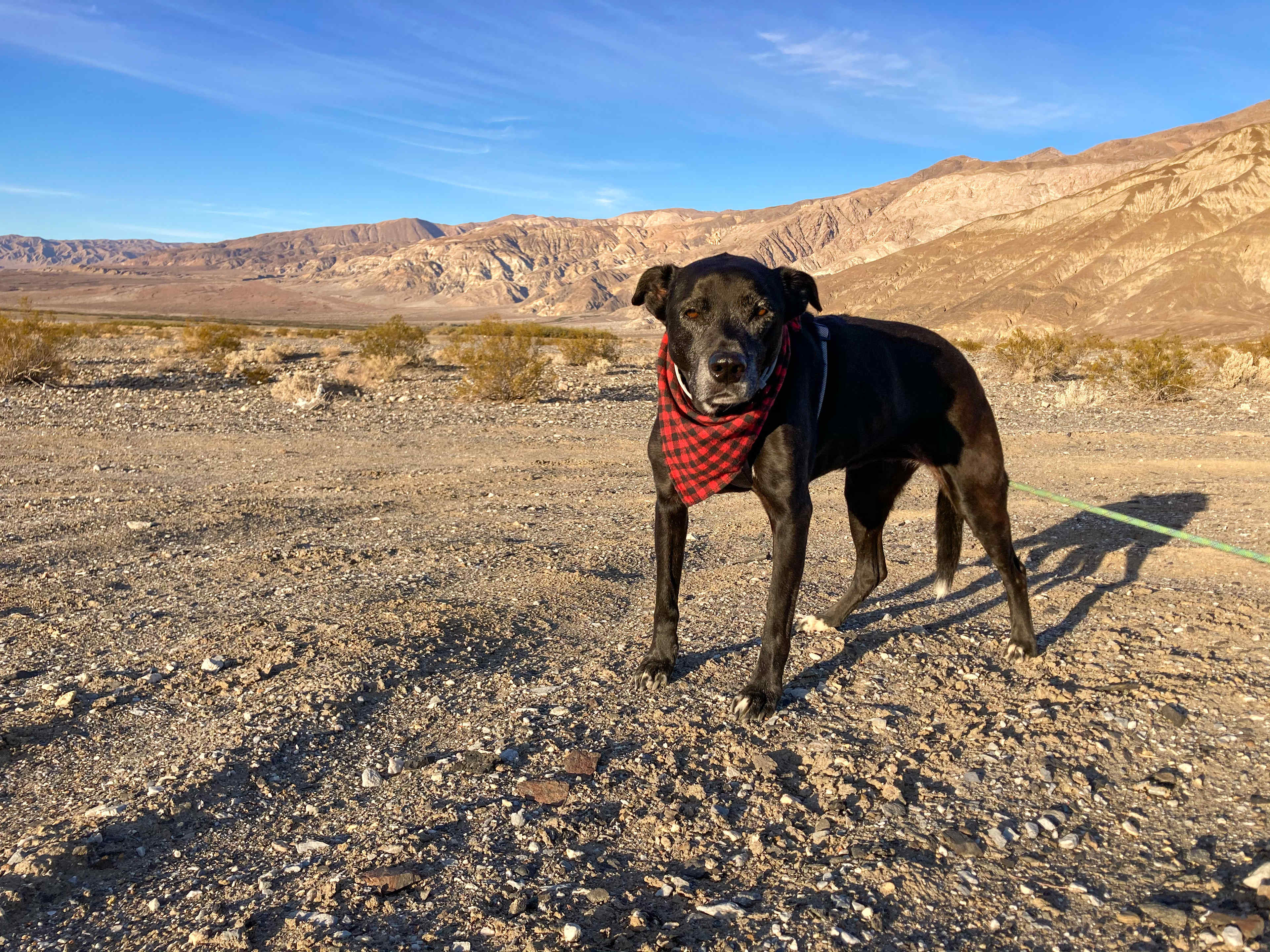 Wide open spaces