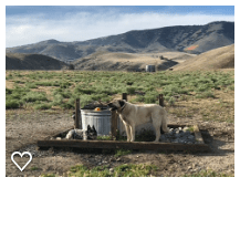Tent or rv camp with mountain views