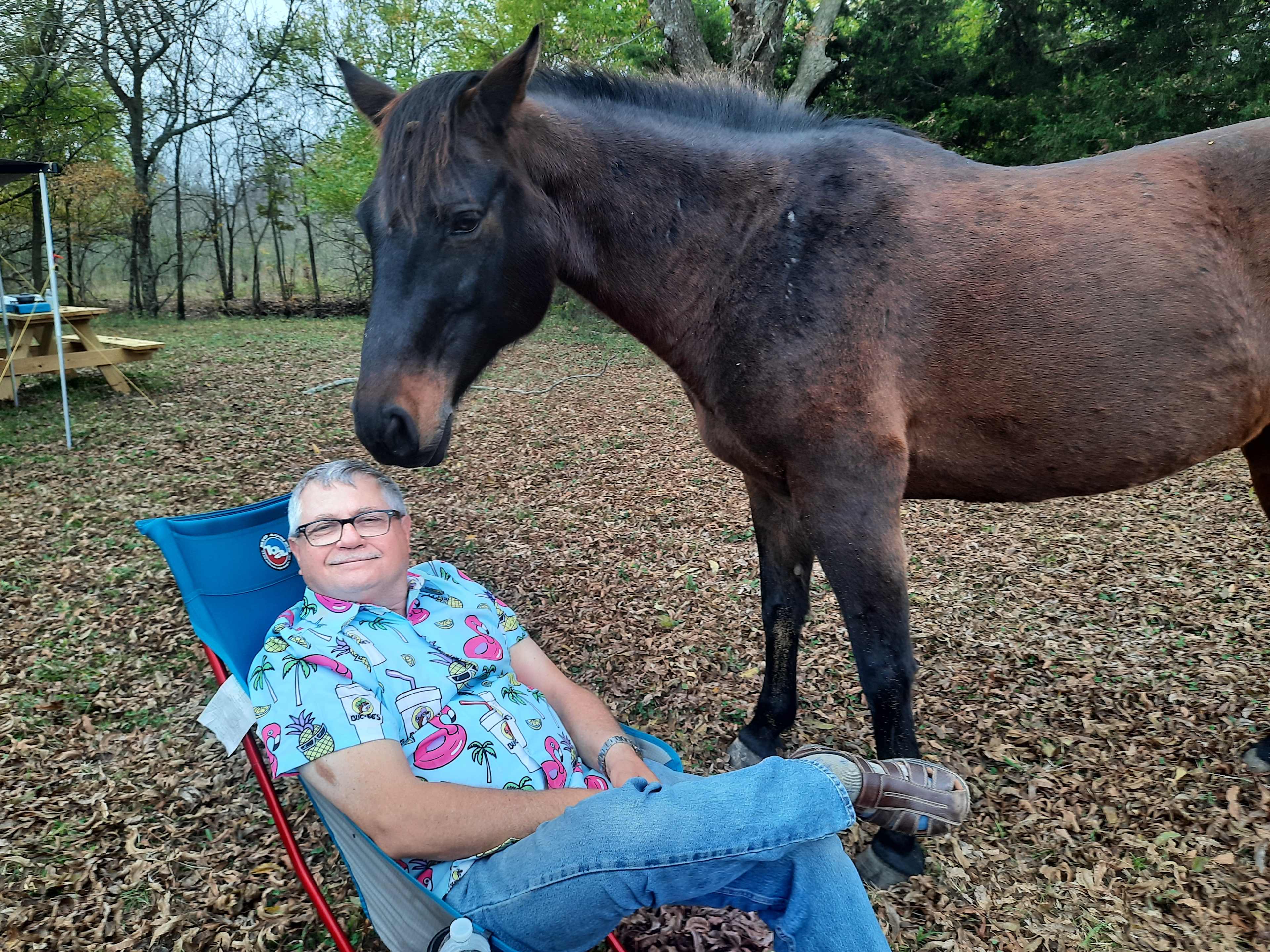 Two of my friends.... One Is a Horse!