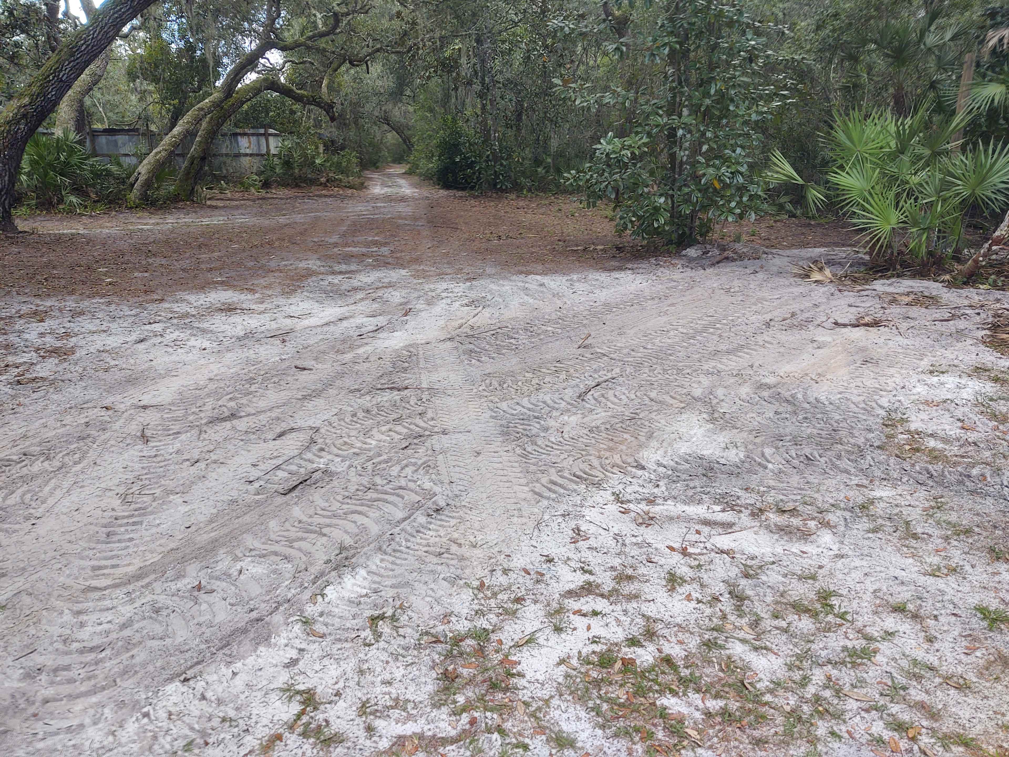 Animal farm, Ocala National Forest