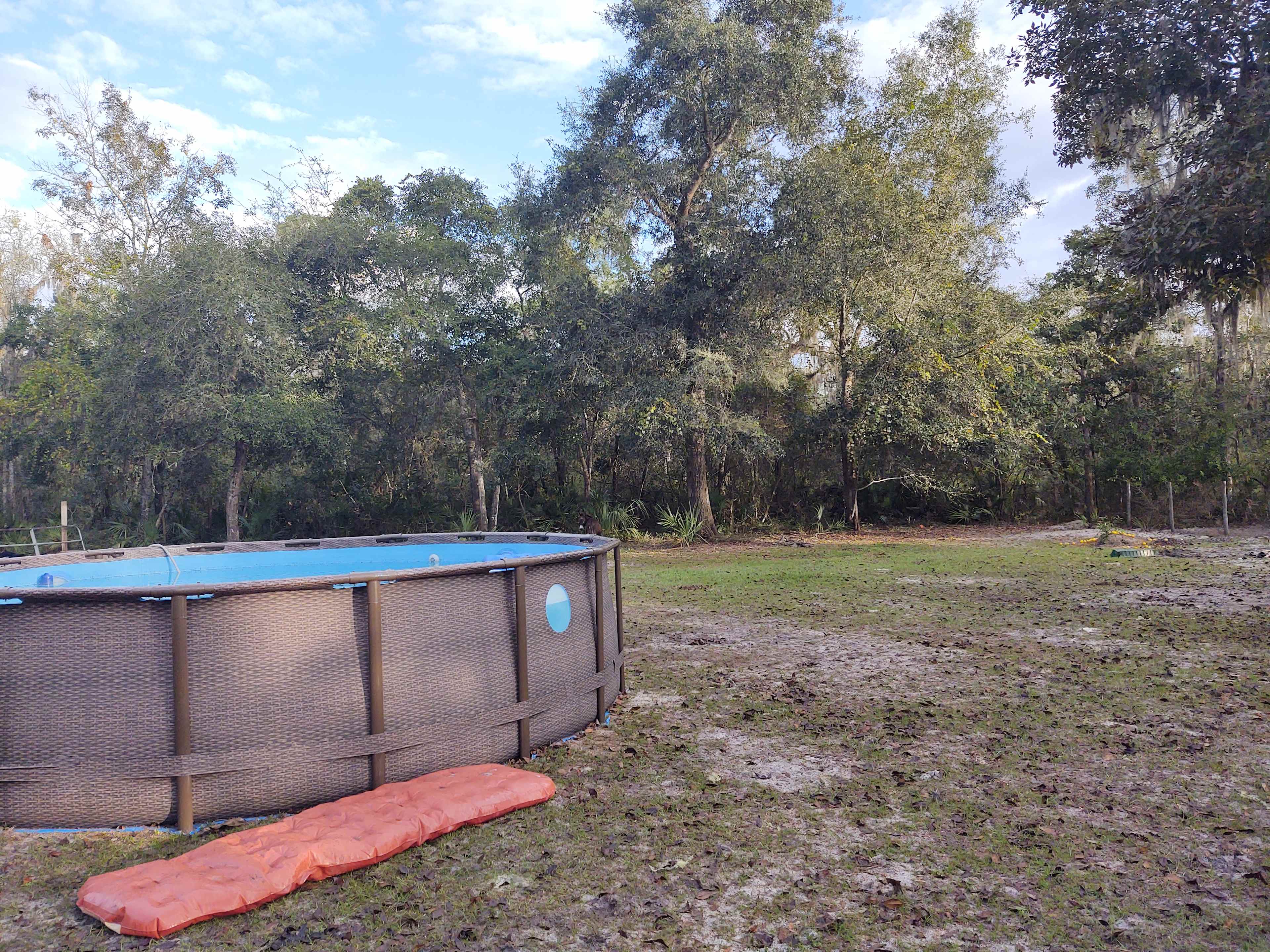 Animal farm, Ocala National Forest