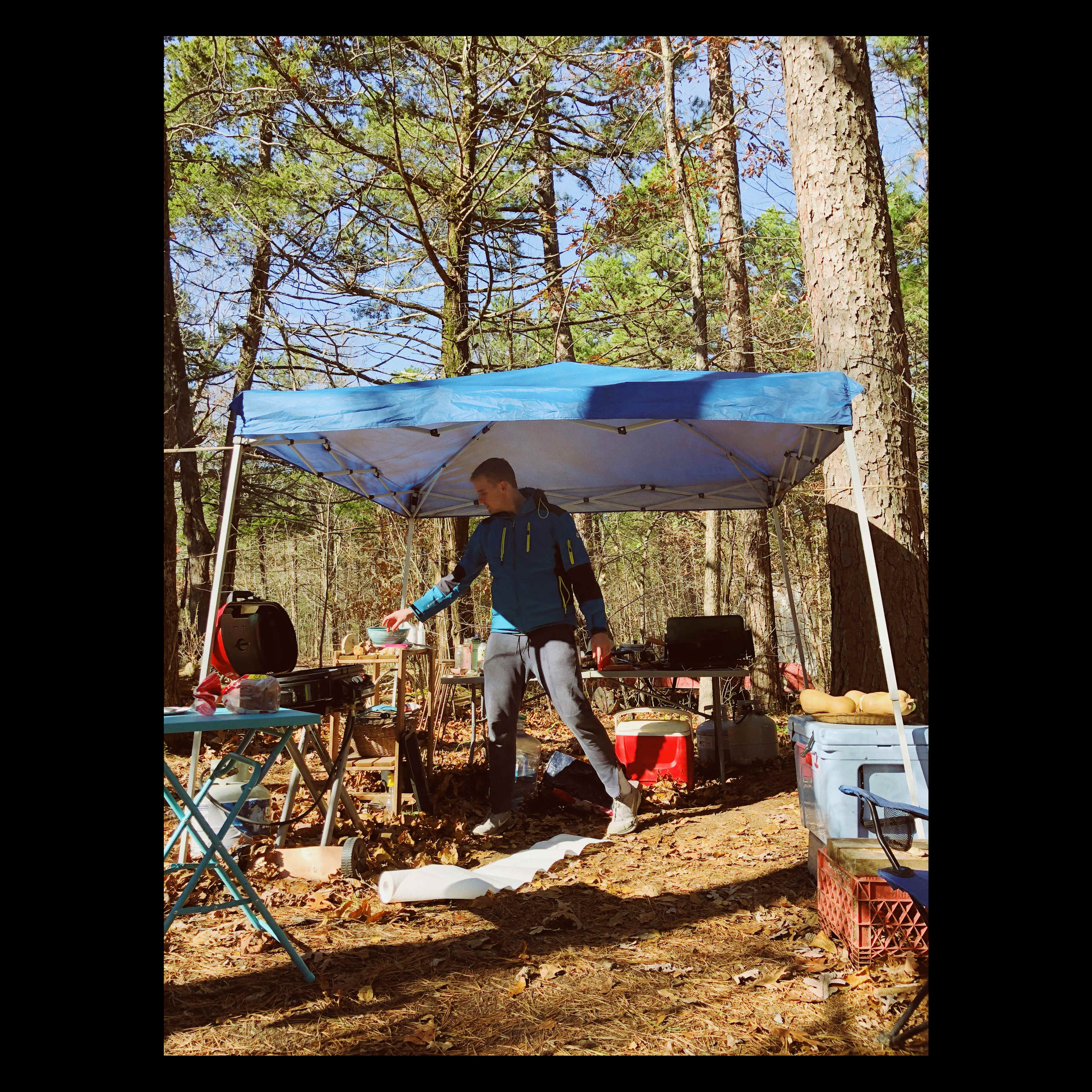 Picture of the site