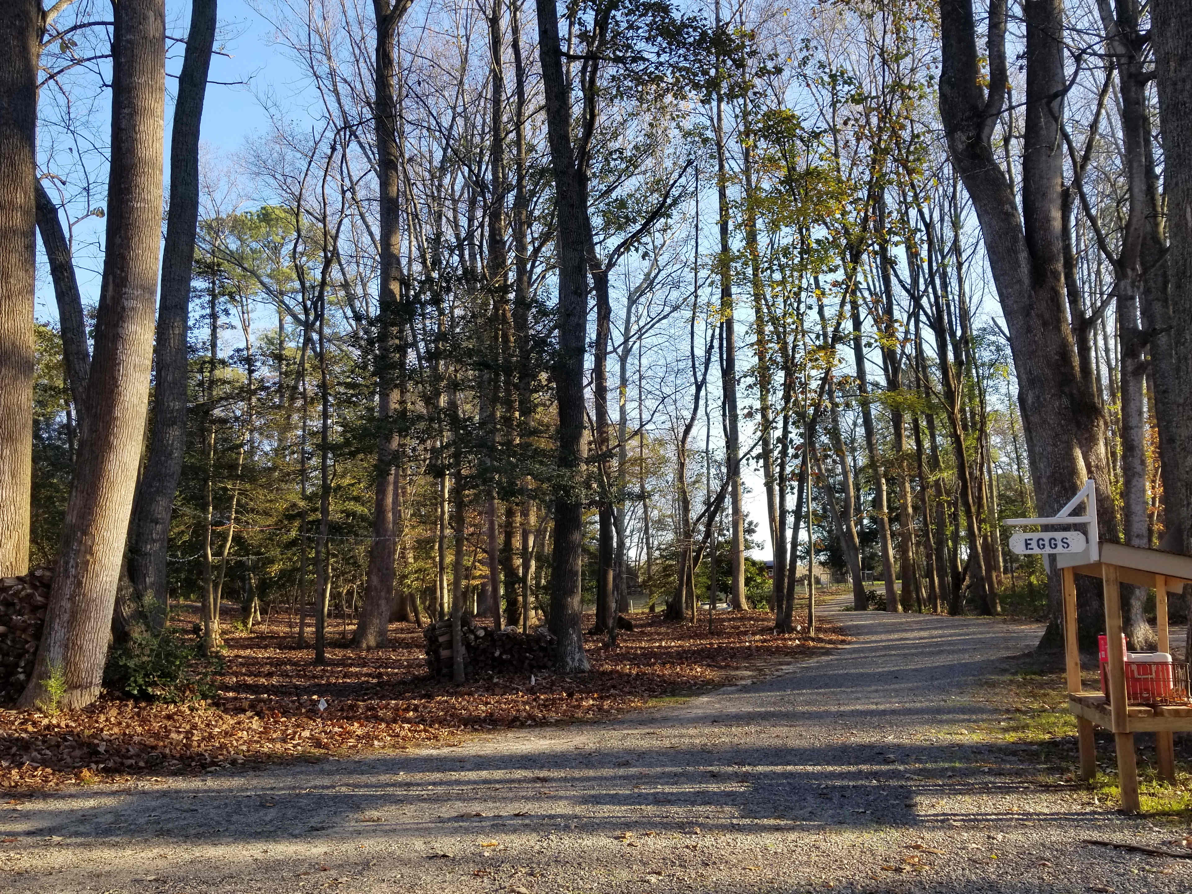 Picture of the site