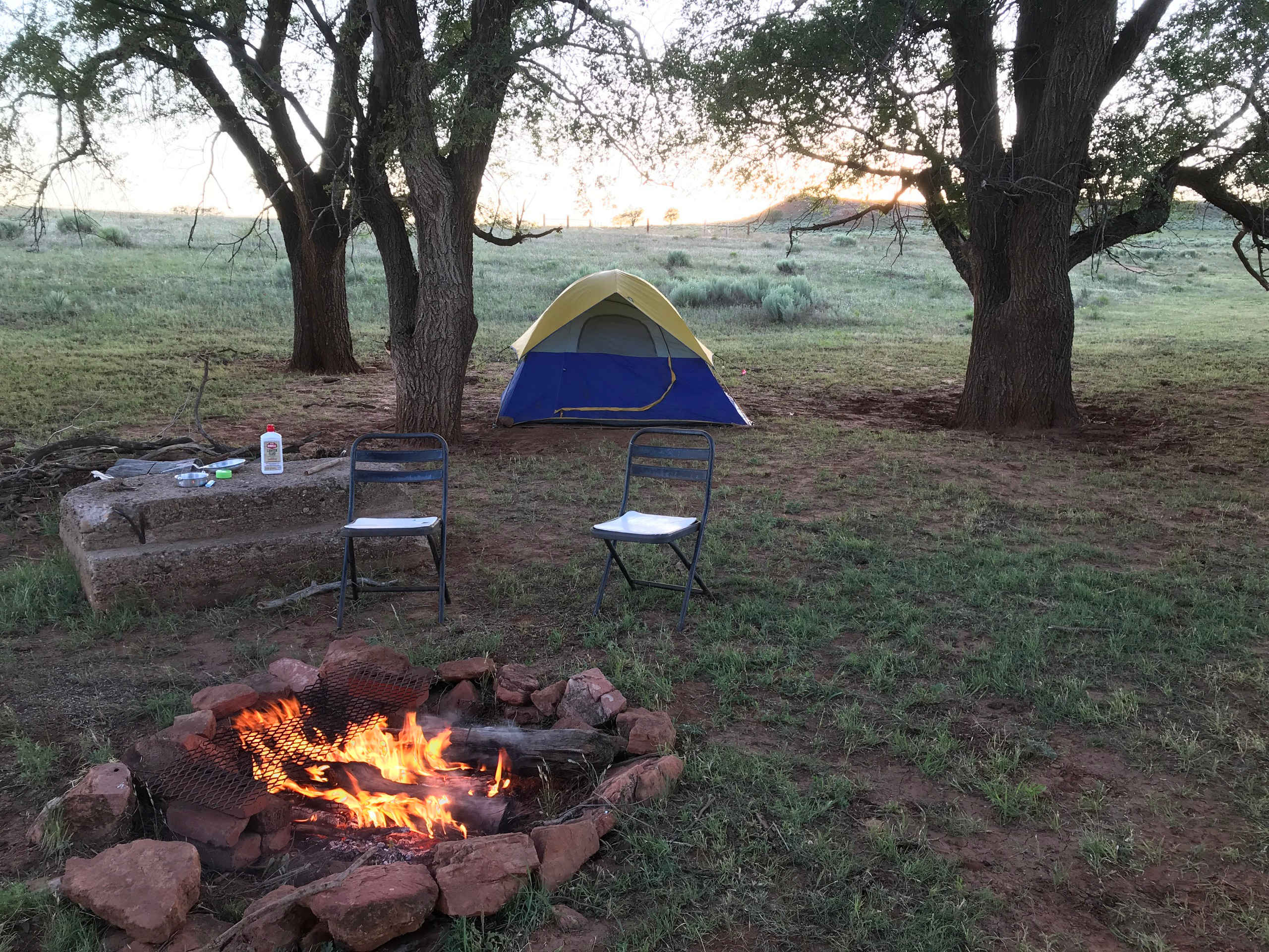 Picture of the site