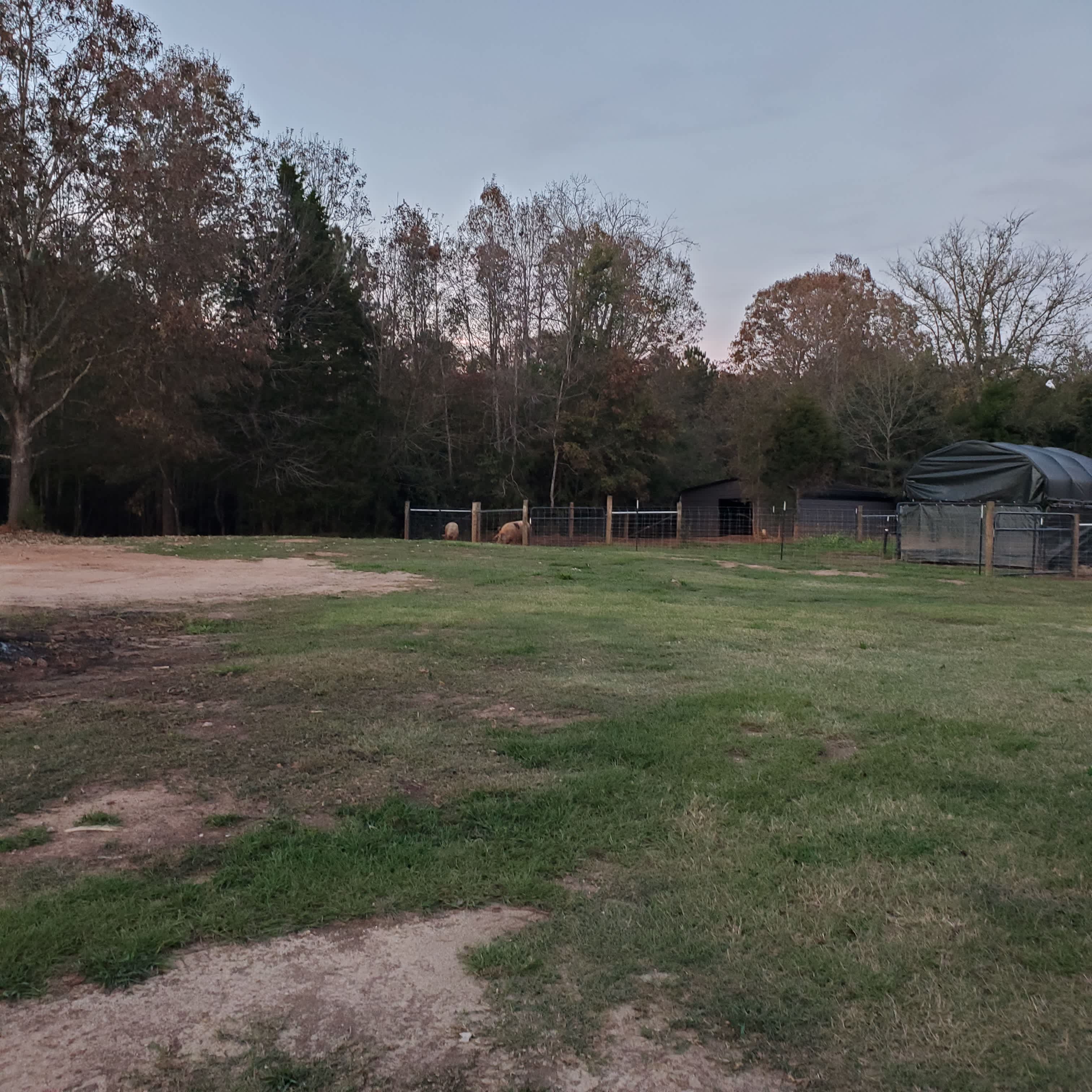 Animal Sanctuary on the Lake