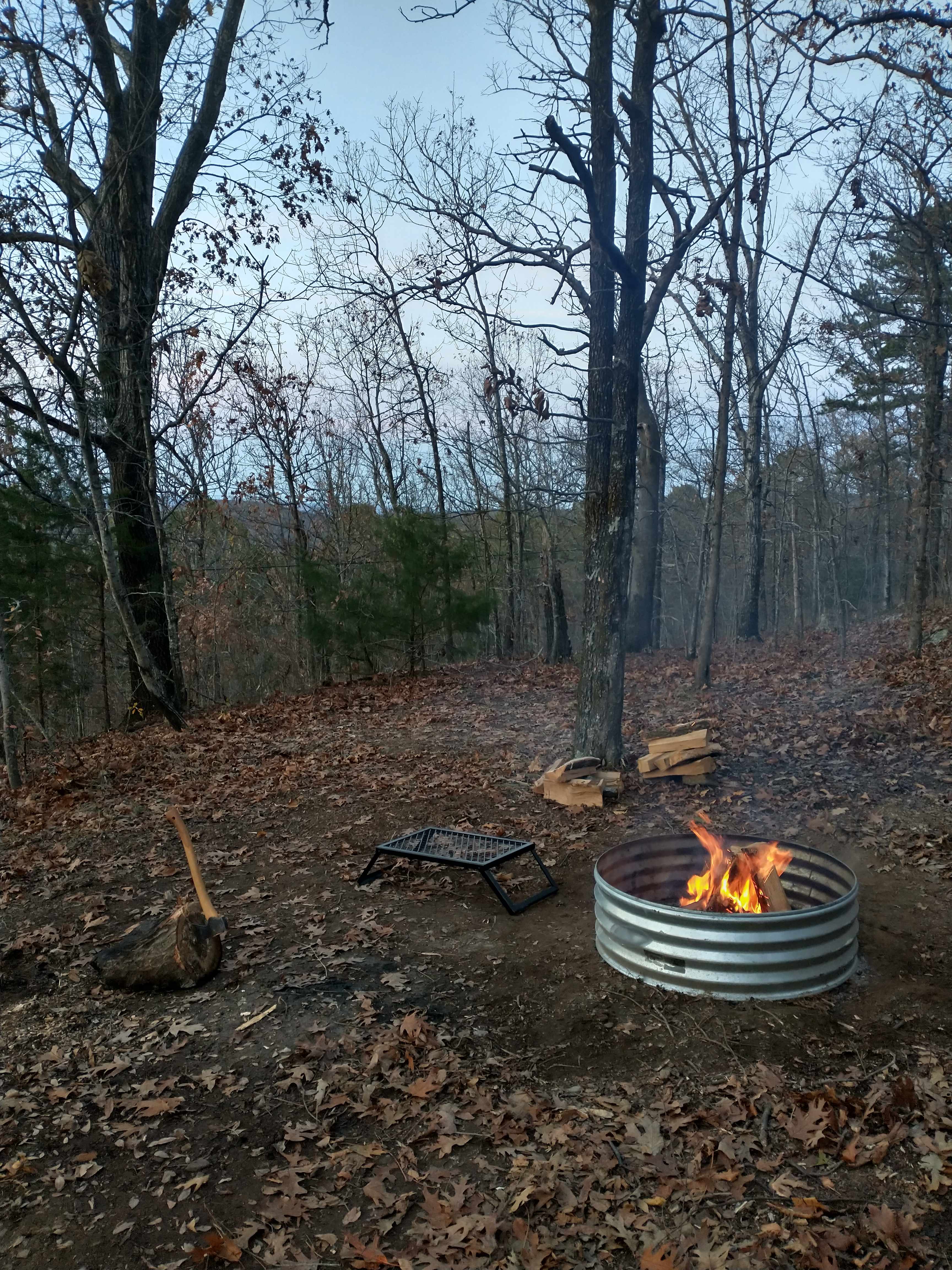 Picture of the site