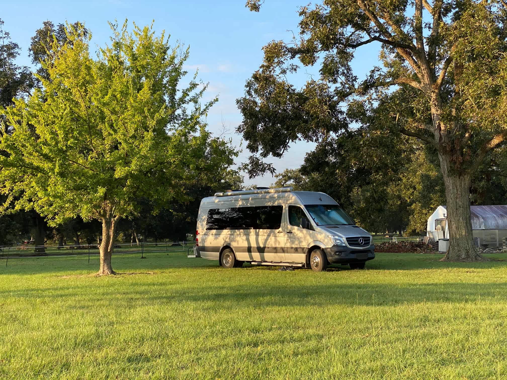 Pecan Orchard
