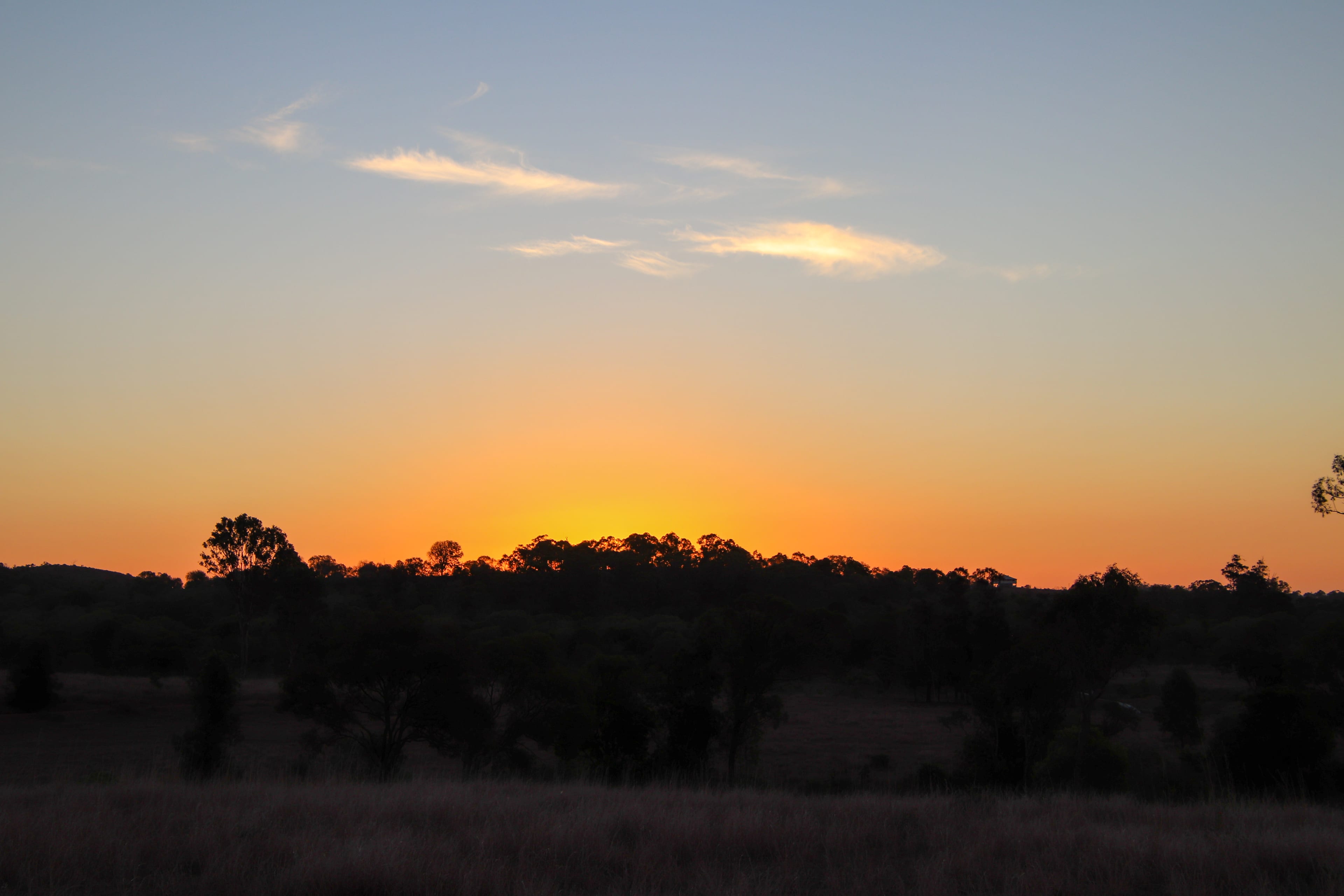 Casuarina Park