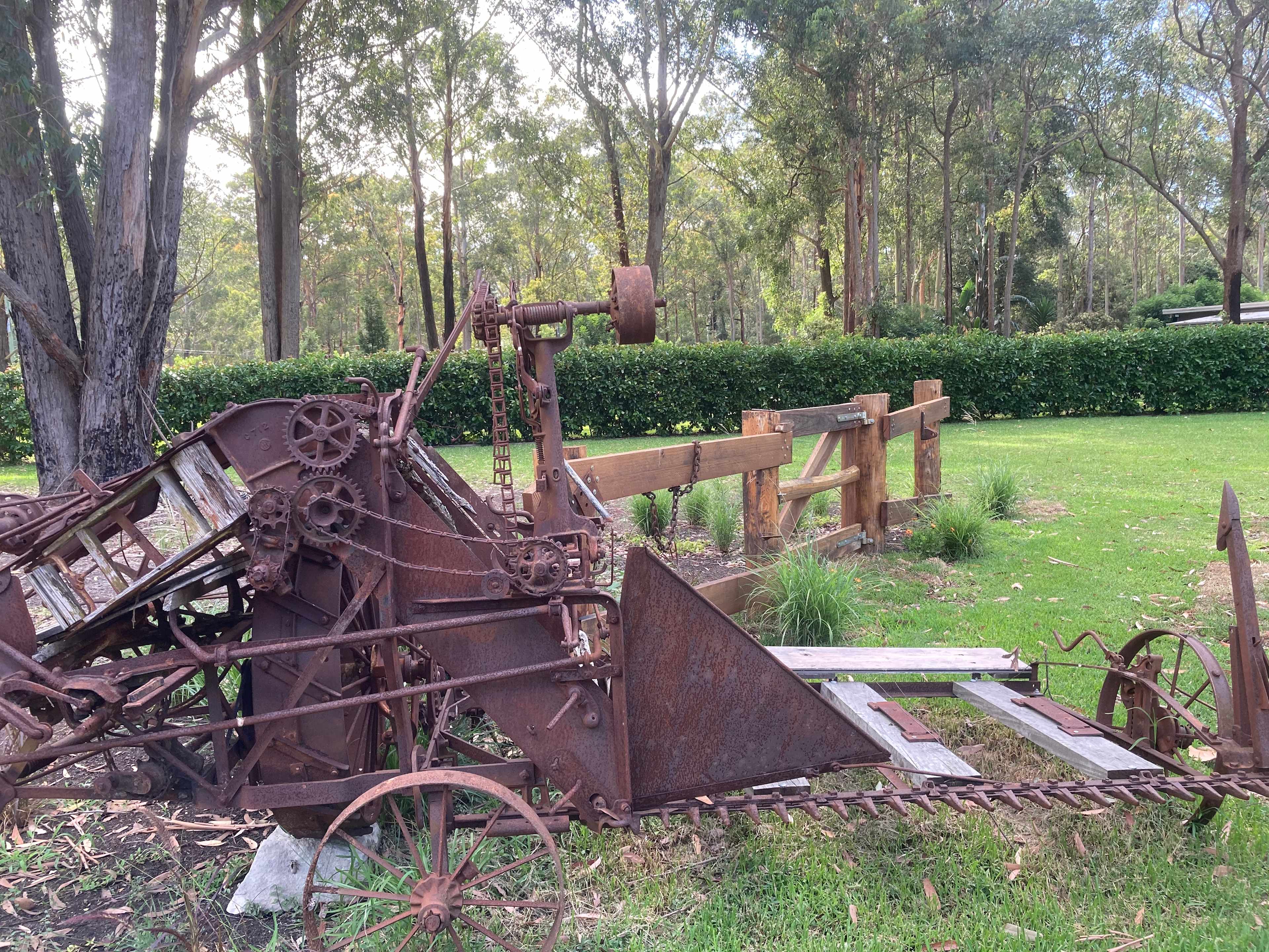 Mistinthegumtrees BUDGET 2 GLAMPING