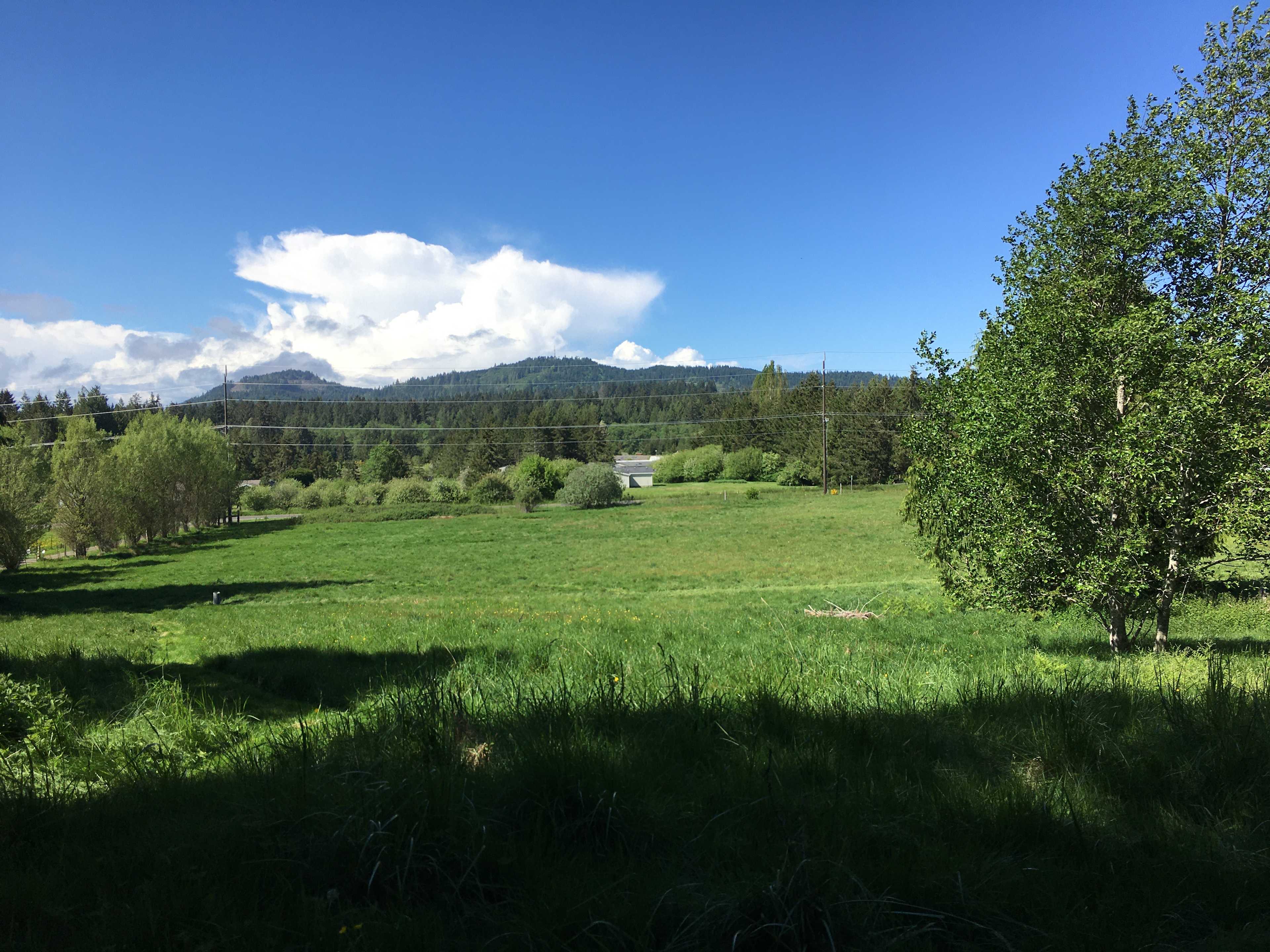 High Hopes Farm