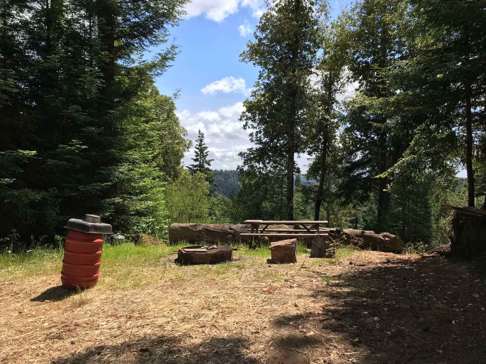 Picture of the site