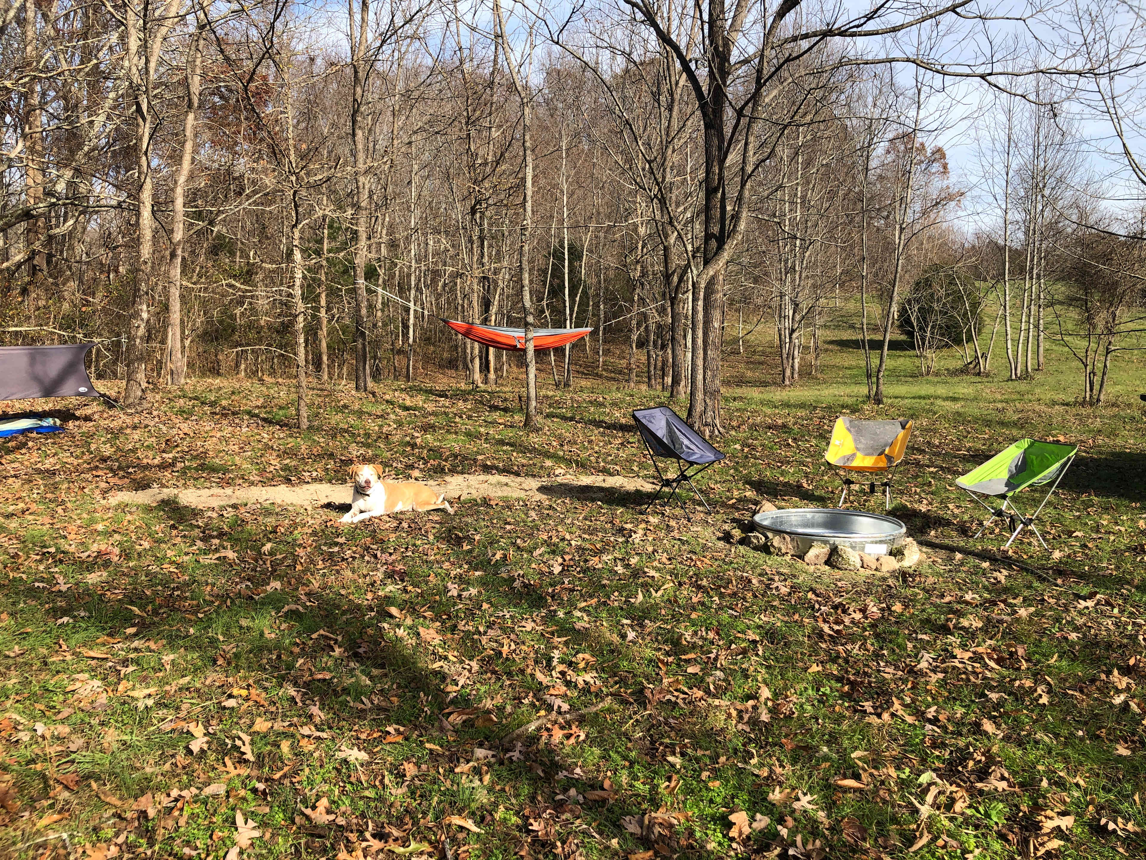 Picture of the site