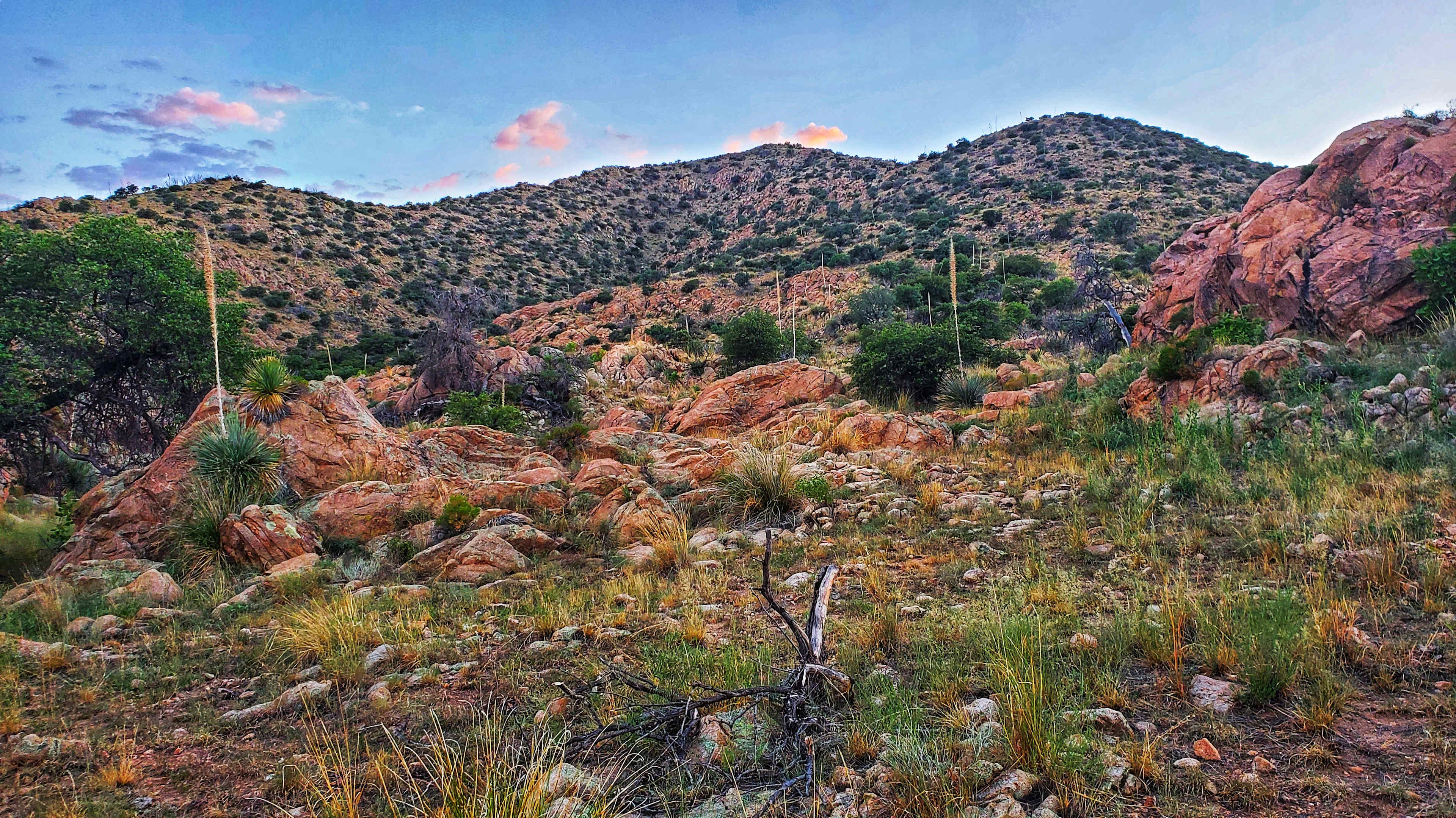mountain trails up to the property 