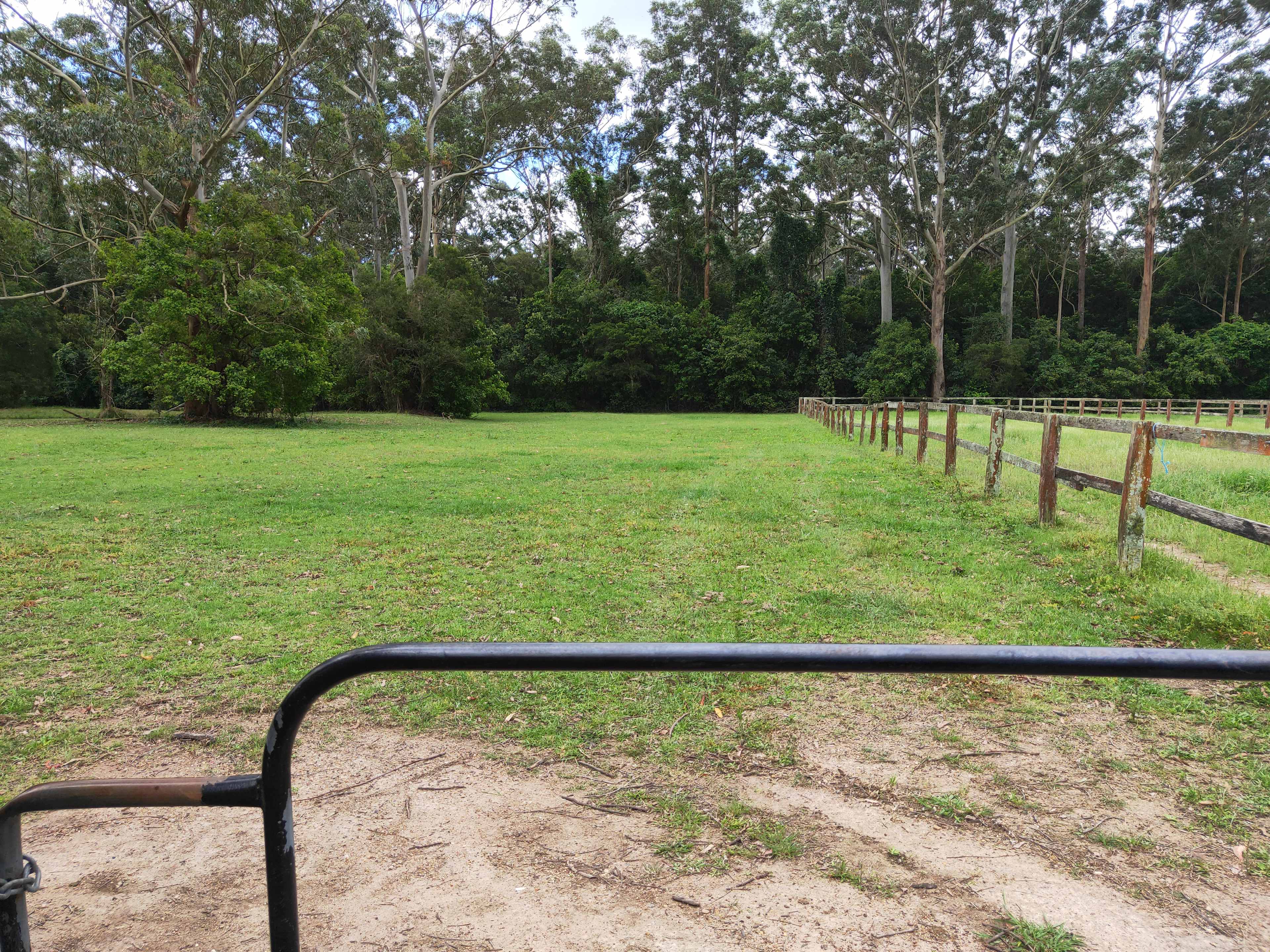 Bella Park - Camp and Horse Stay