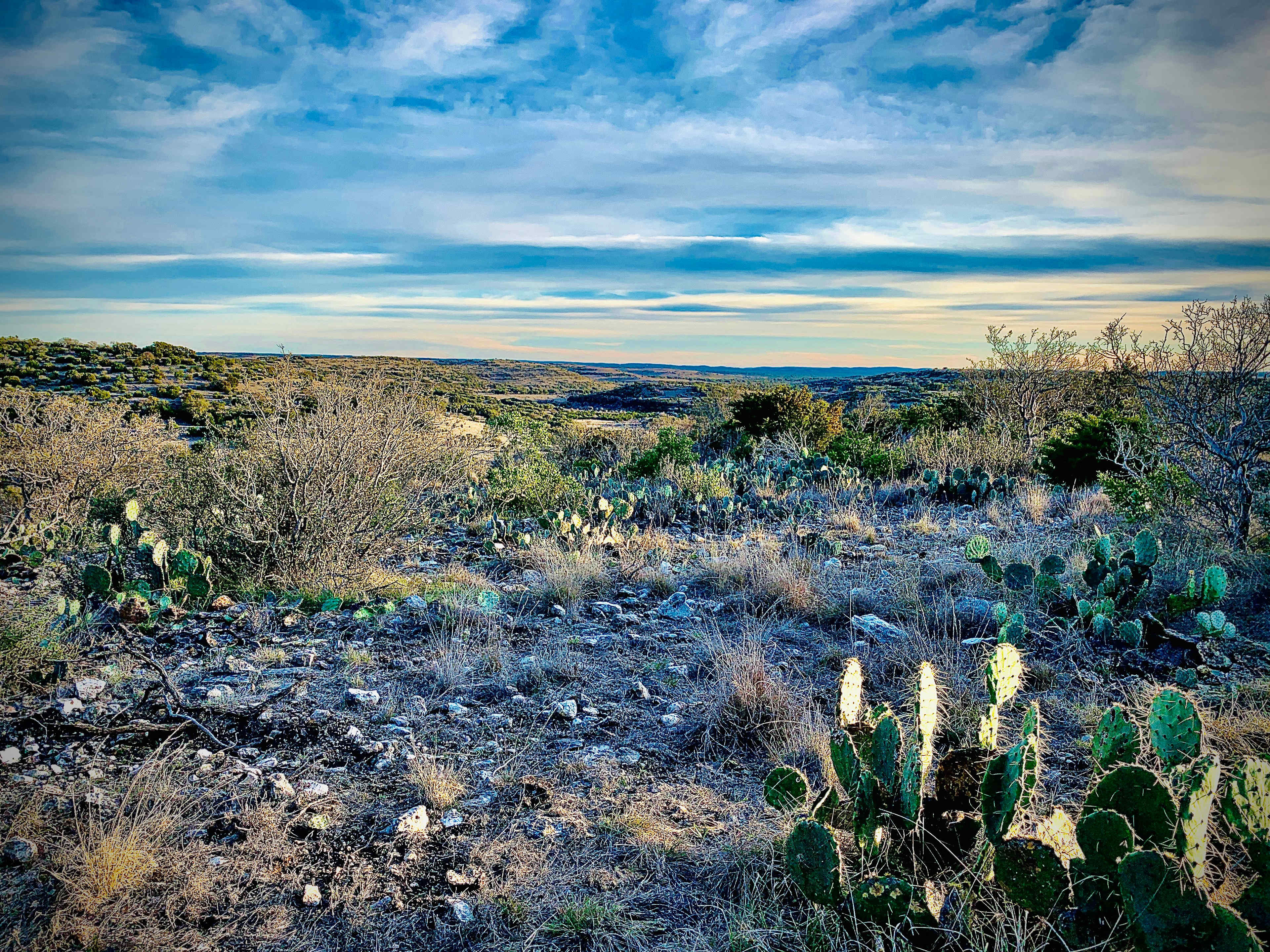 Star Gazer's Primitive Camping Site