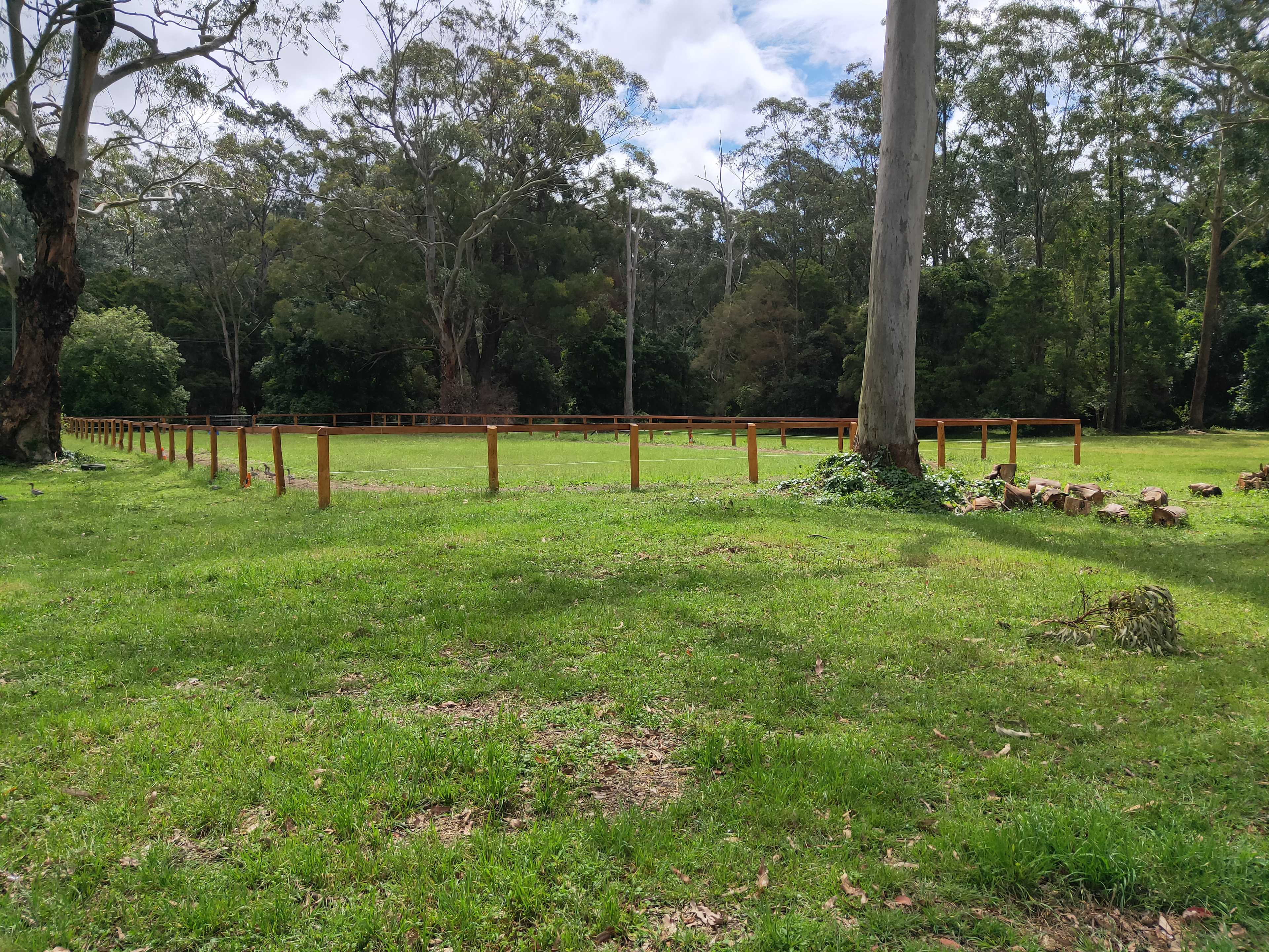 Bella Park - Camp and Horse Stay