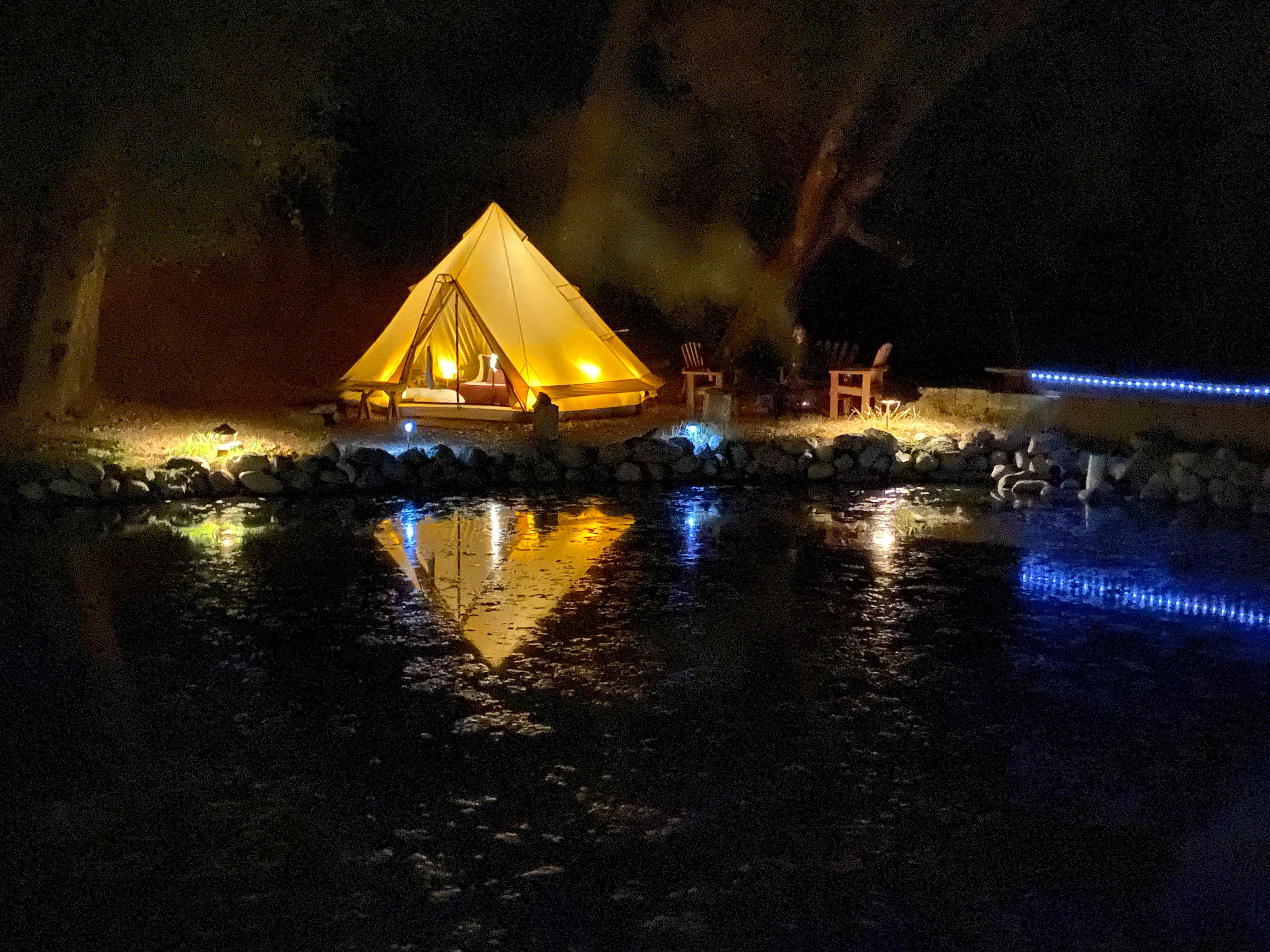 Temecula Bullfrog Pond