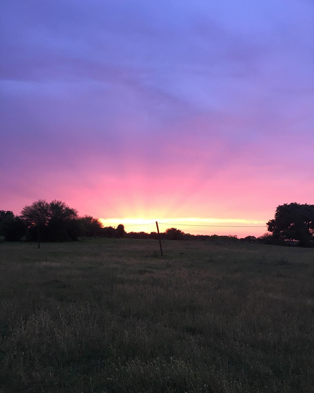 Starlove Ranch & Animal Sanctuary