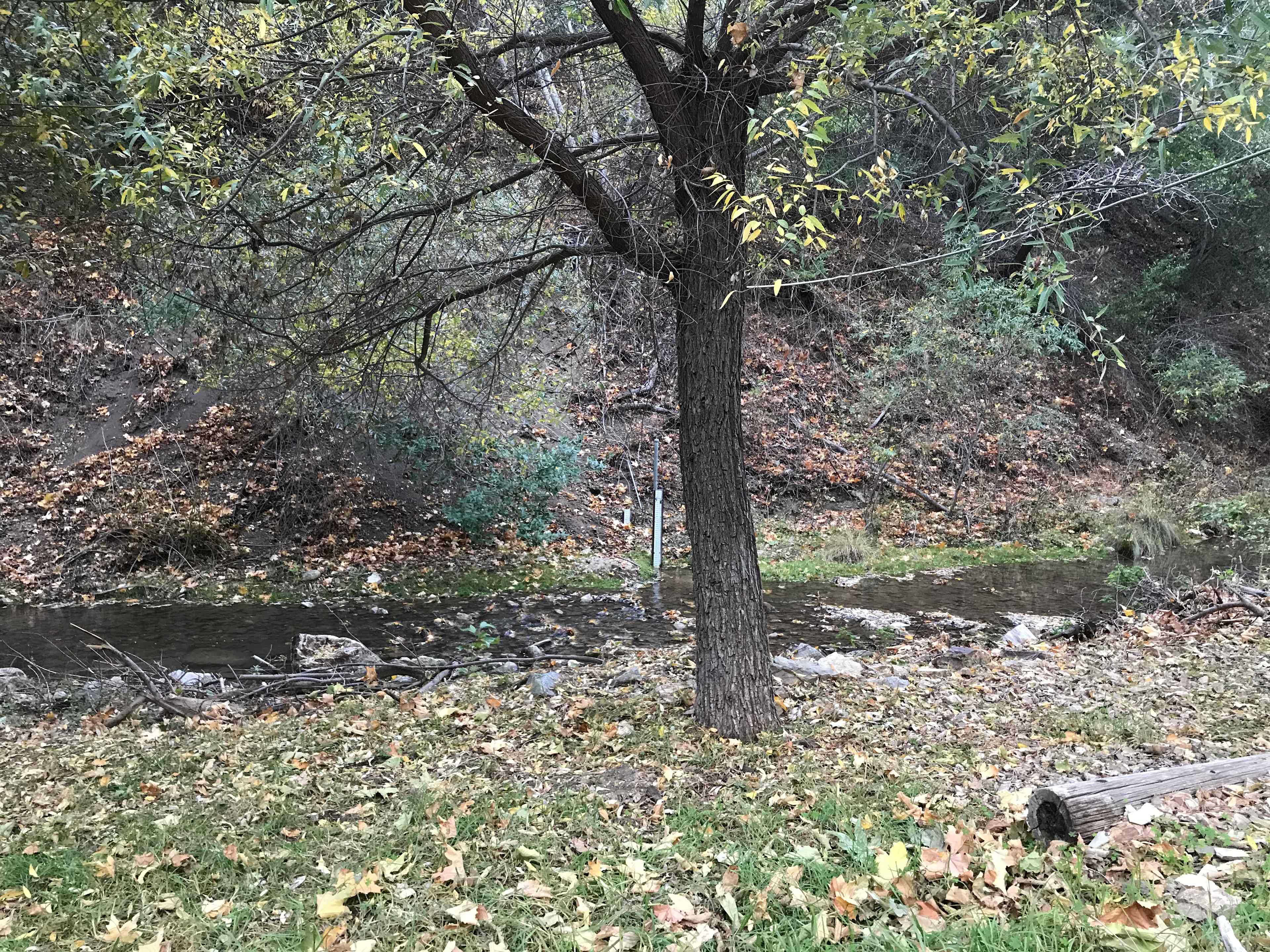 Nice tent spot under the tree next to the creek.