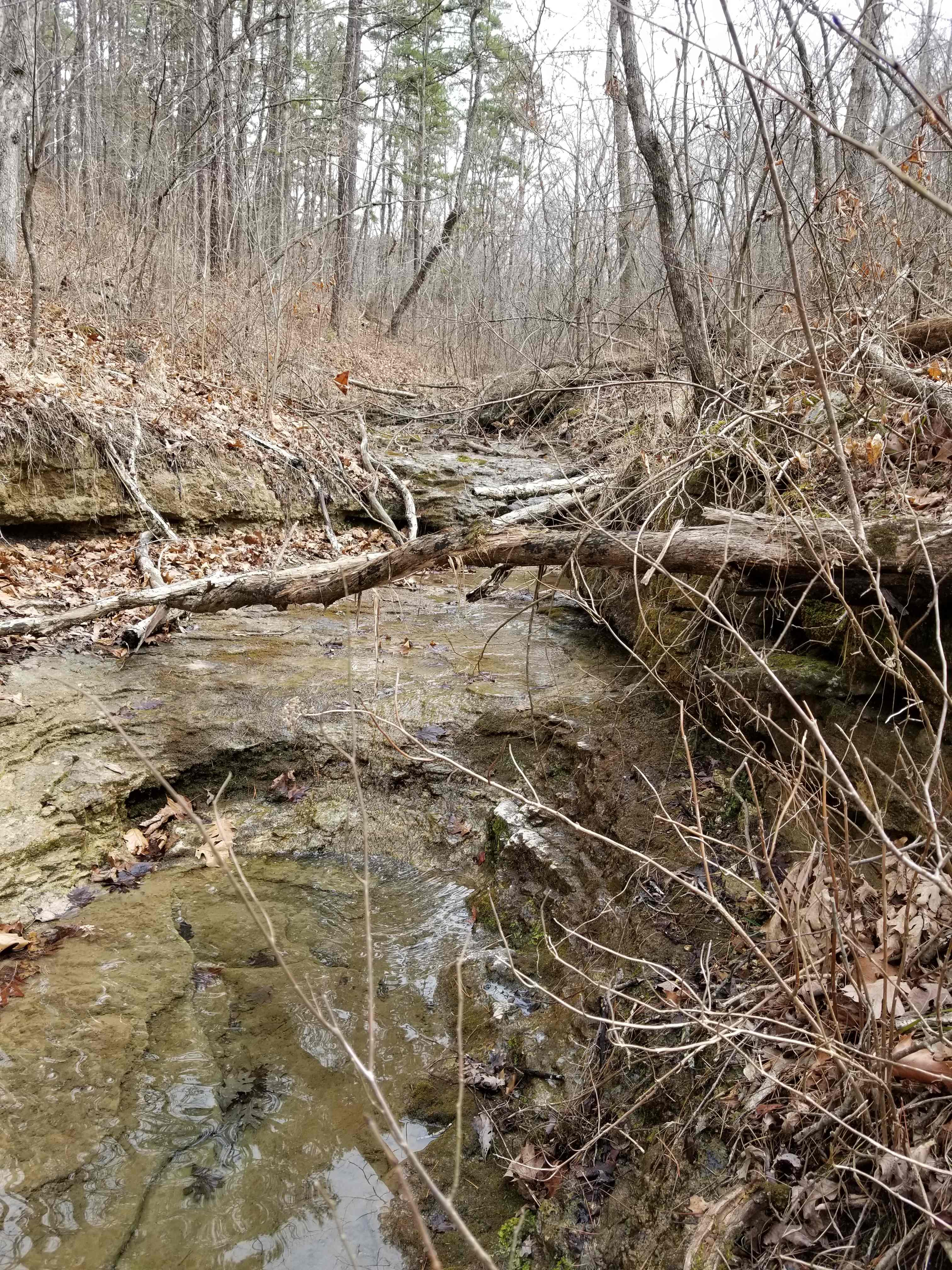 Hagood Farms and Trails