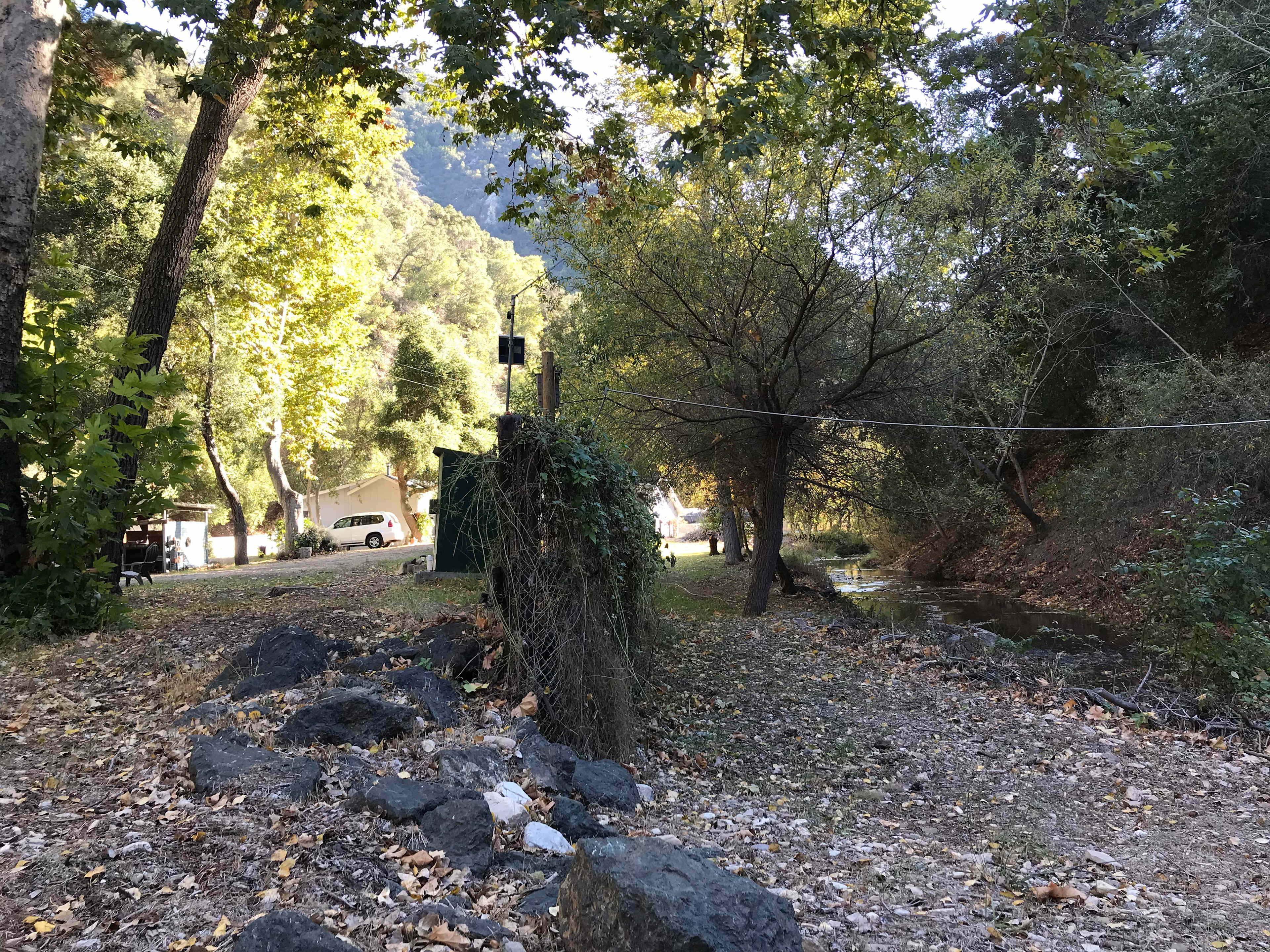 Picture of the site