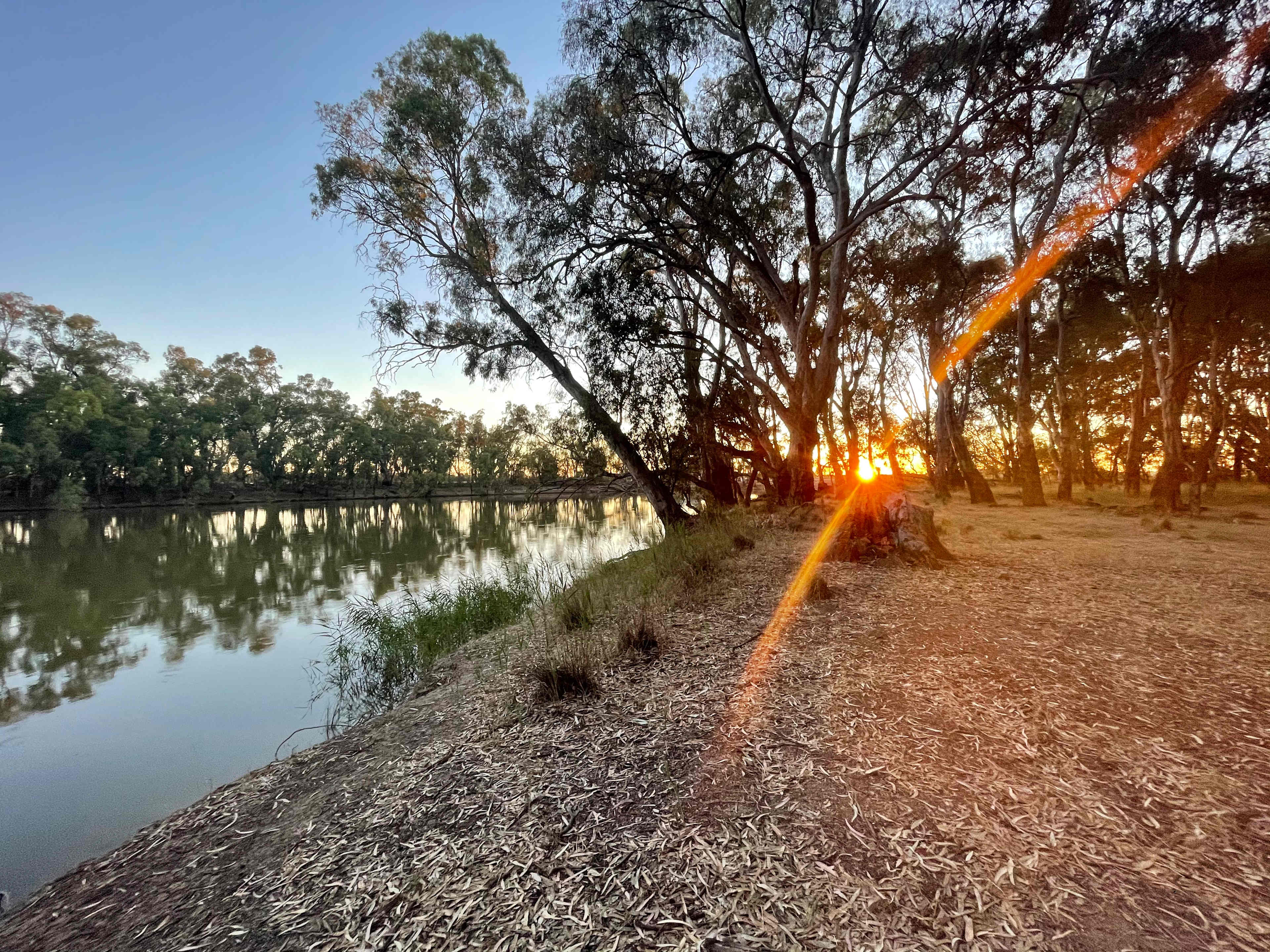 Murray View