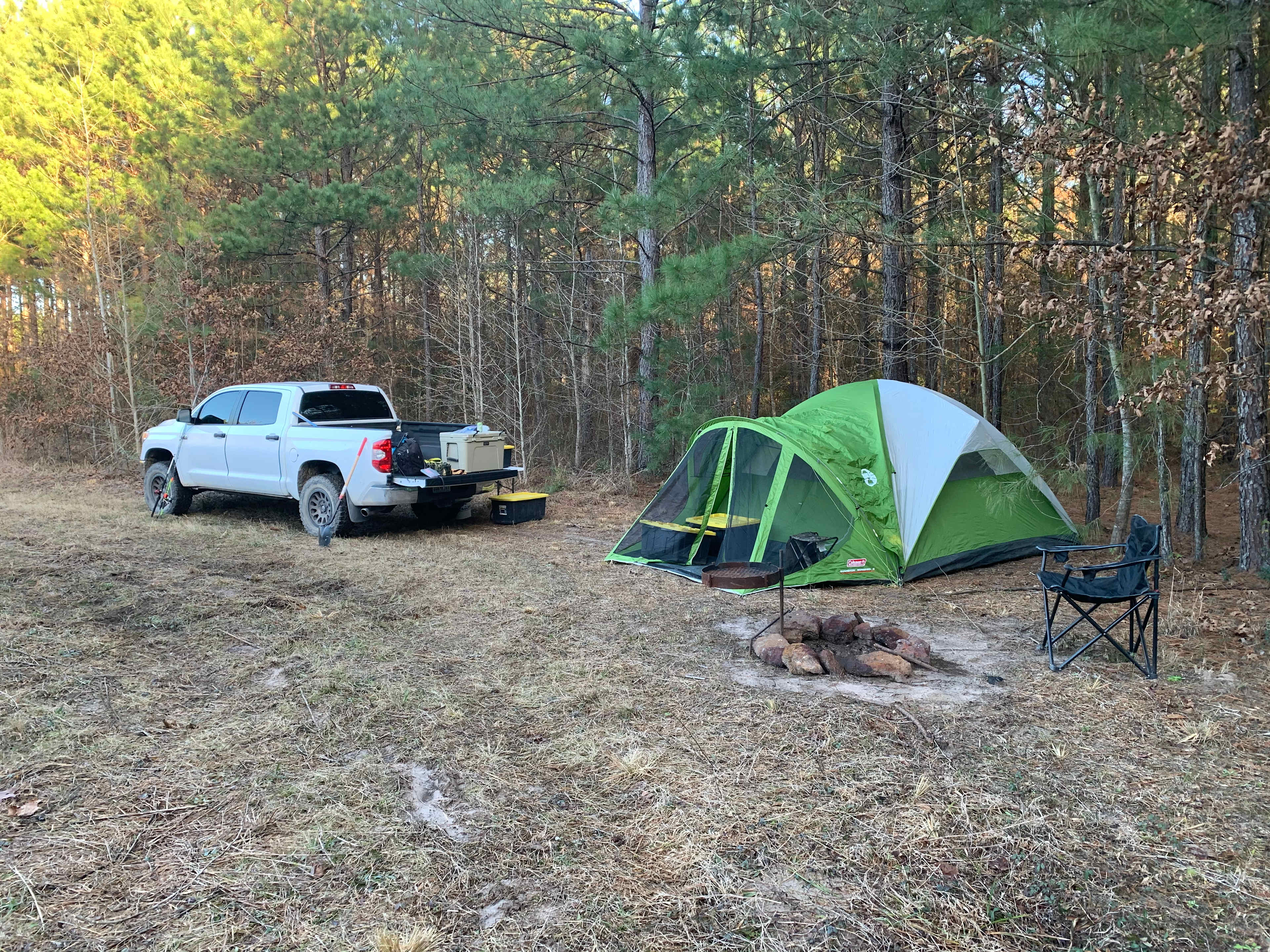 The backwoods of the forest!
