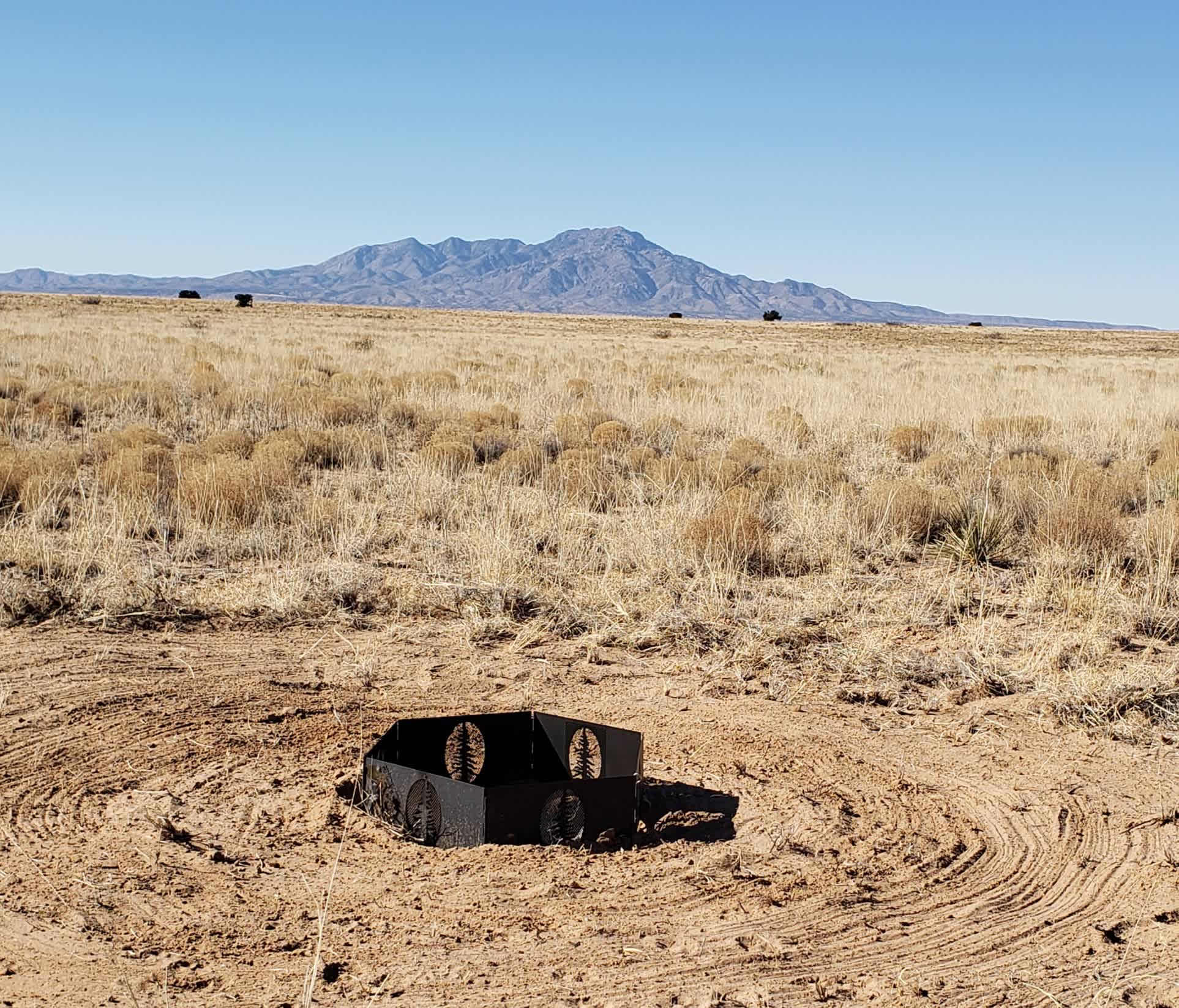 Picture of the site