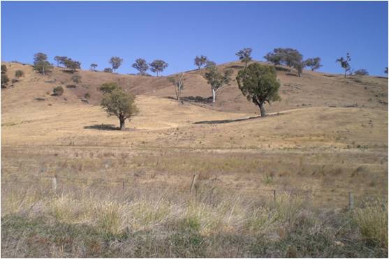 Adelong Creek Camp