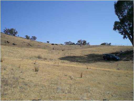 Adelong Creek Camp
