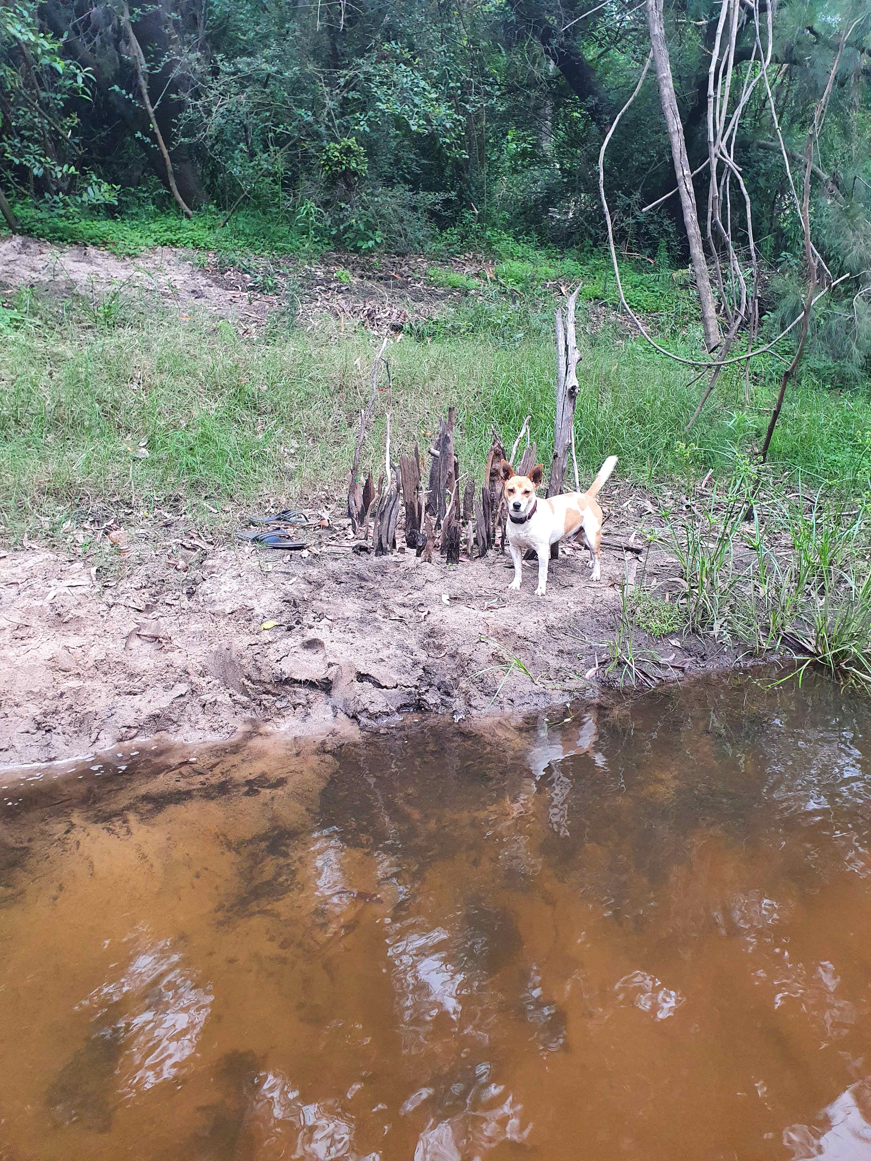 "DeView" Colo River Valley Camping