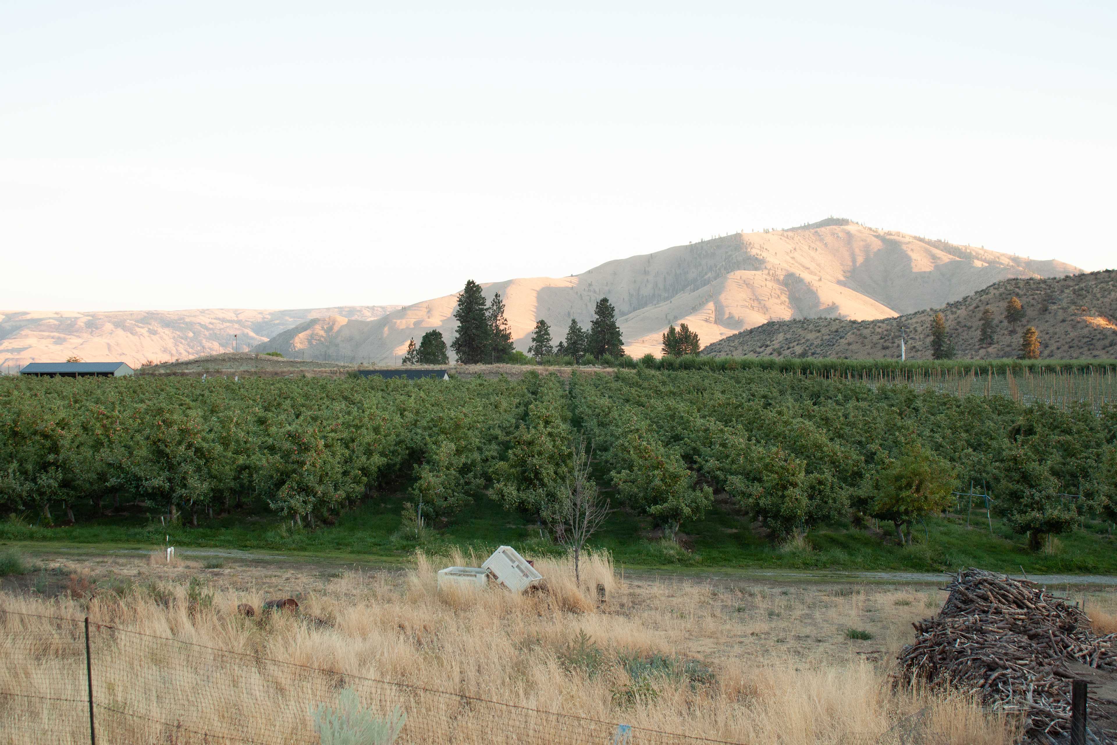 Summerhill Farm and RV Park