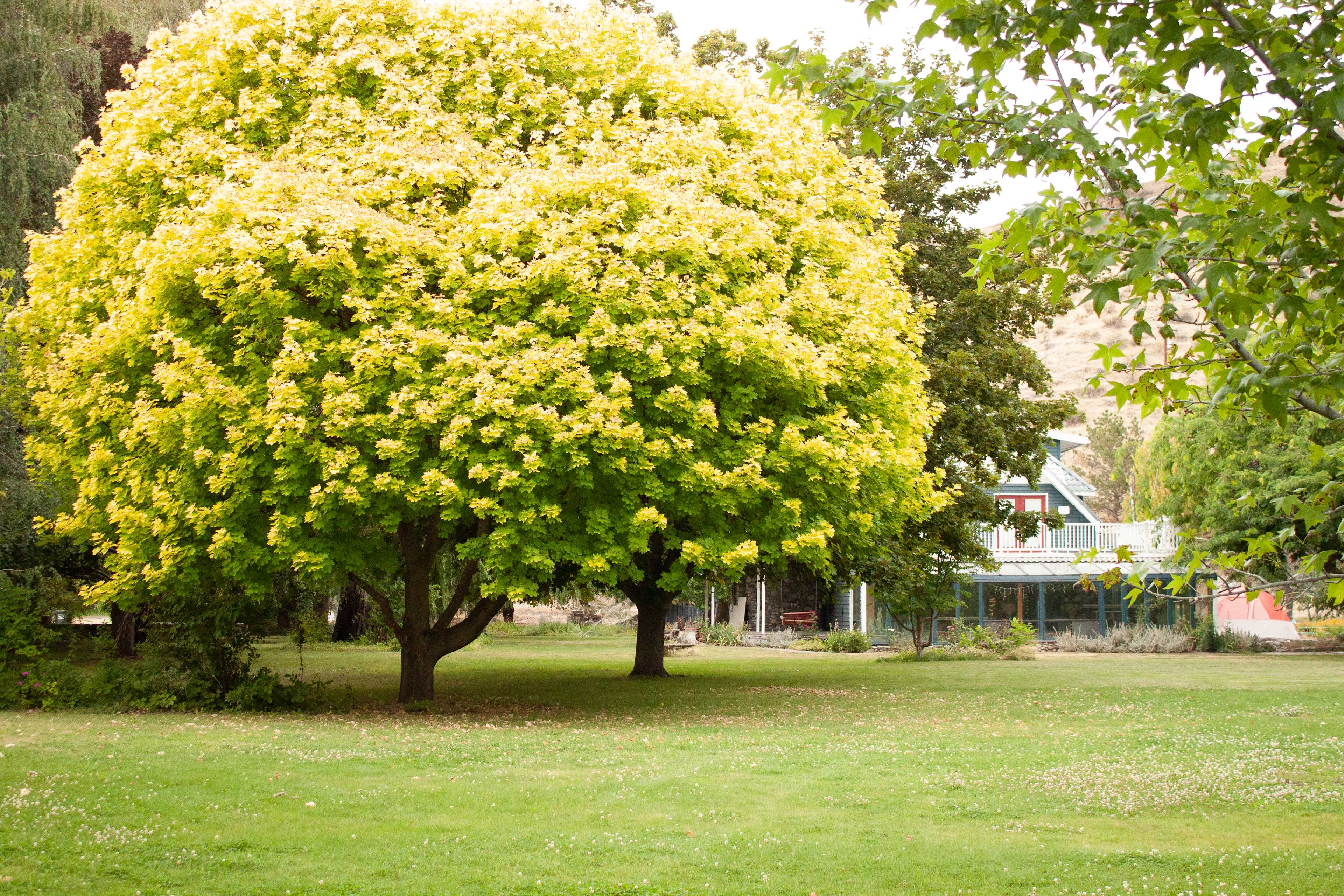 Summerhill Farm and RV Park