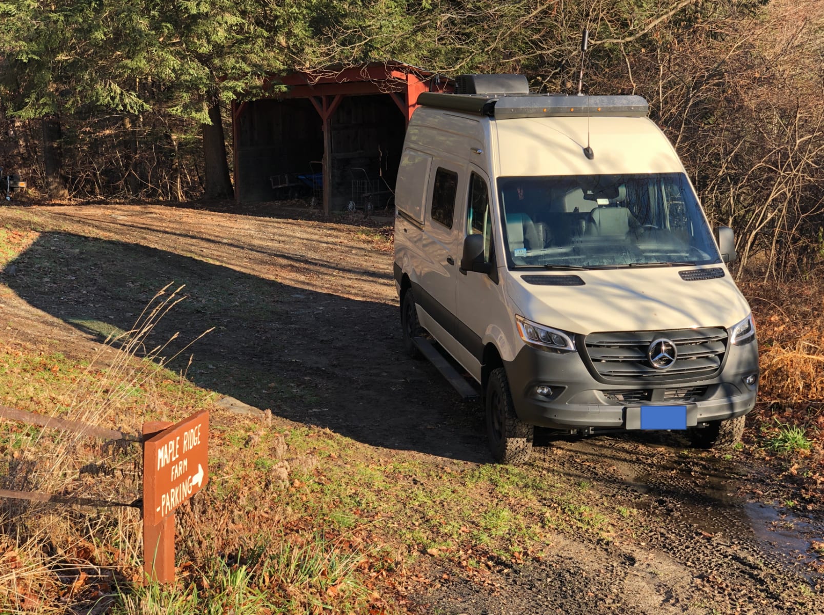 Picture of the site