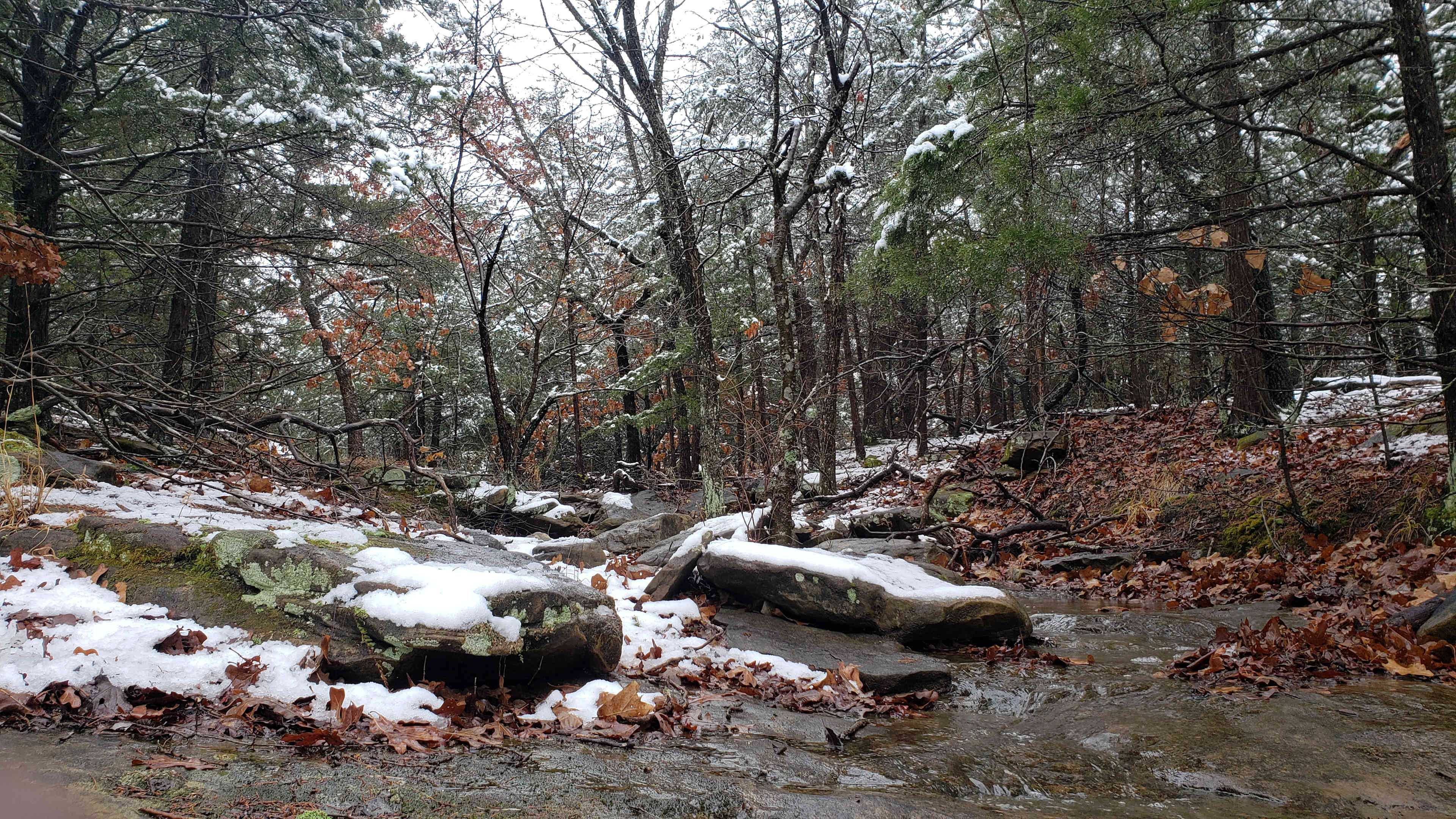 Rock Creek at the bottom of the property during a snow
