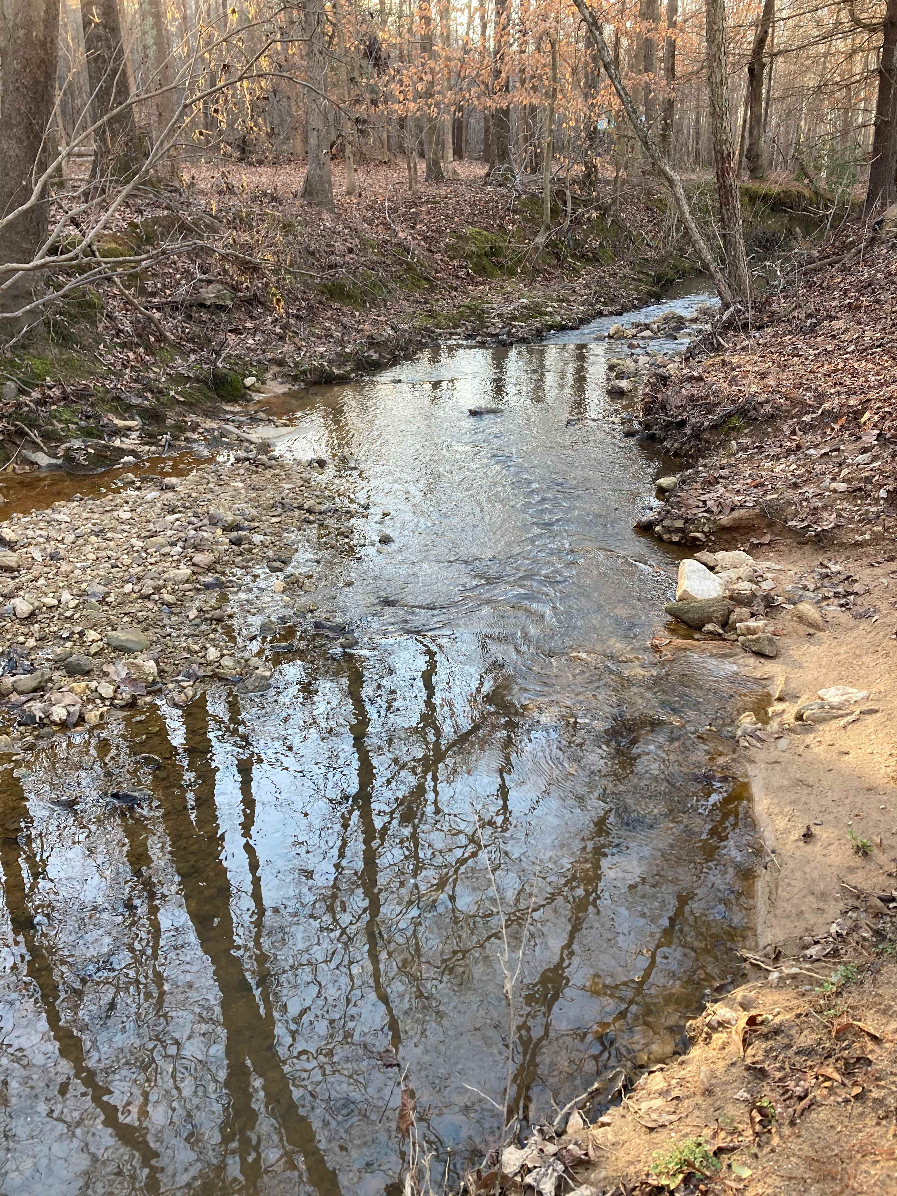 Neal Creek Camping Sites