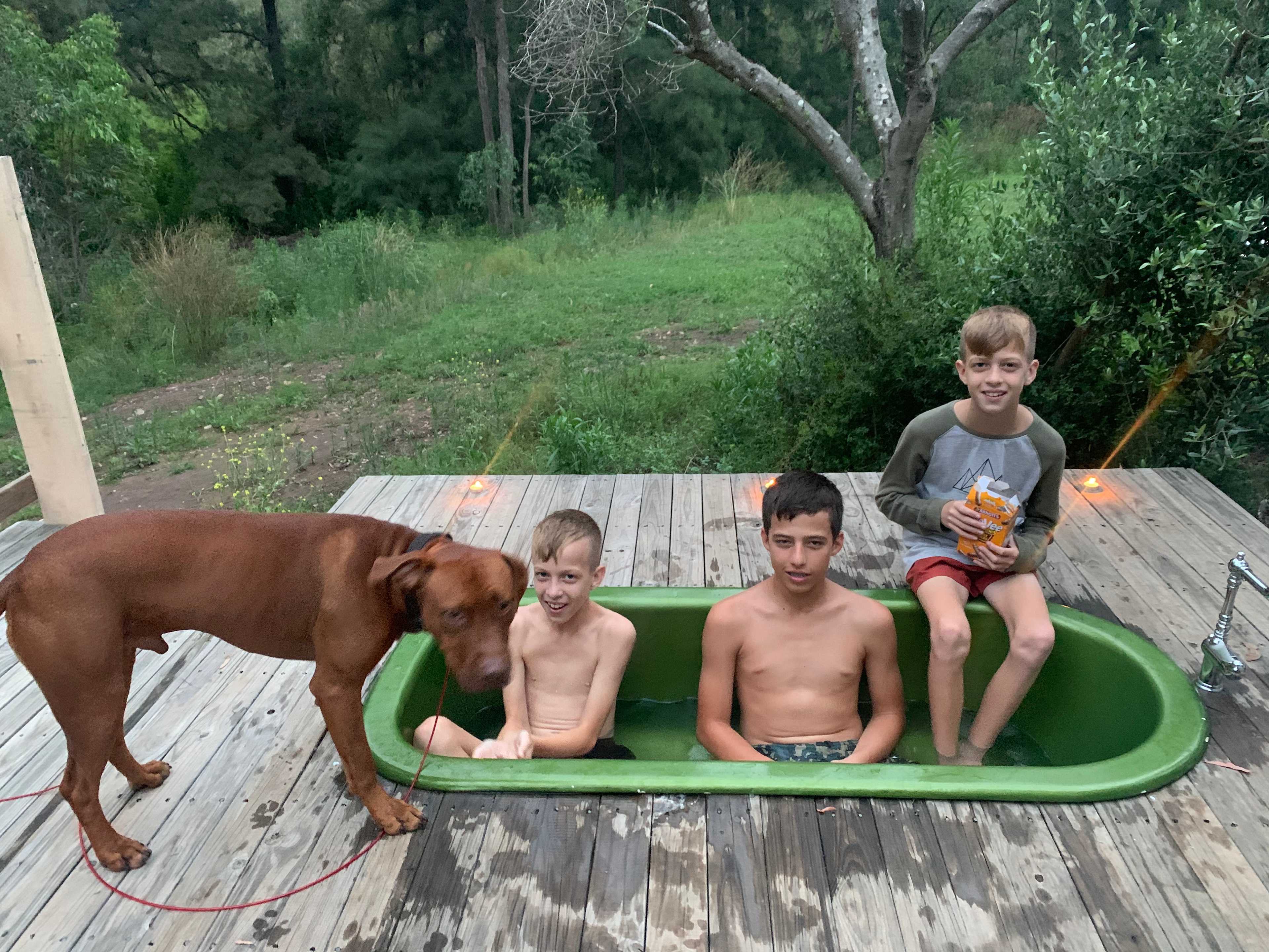 Dalli's Campground
