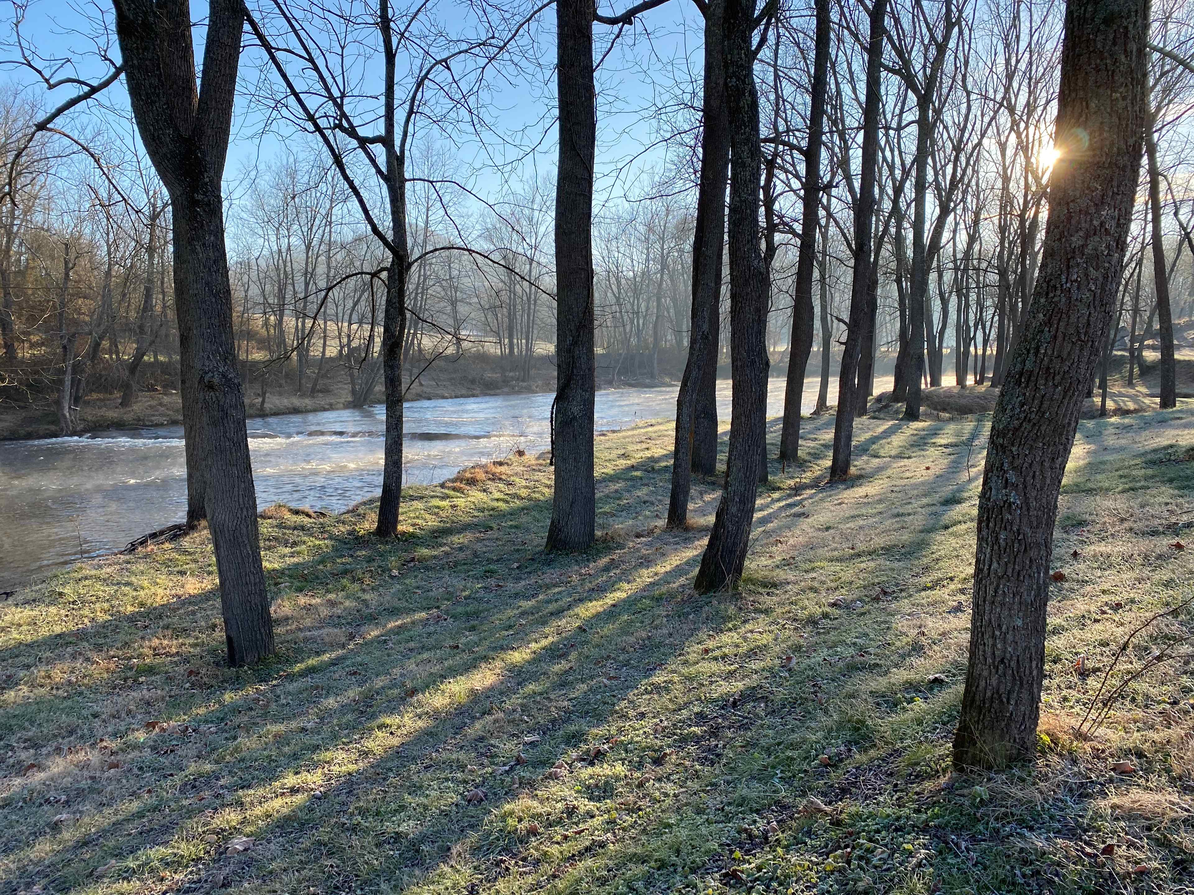 RAPIDS site envelops you in the sound of rushing water.  Light a fire and enjoy the cattle across the river or the eagles, cranes and turkeys that venture near.